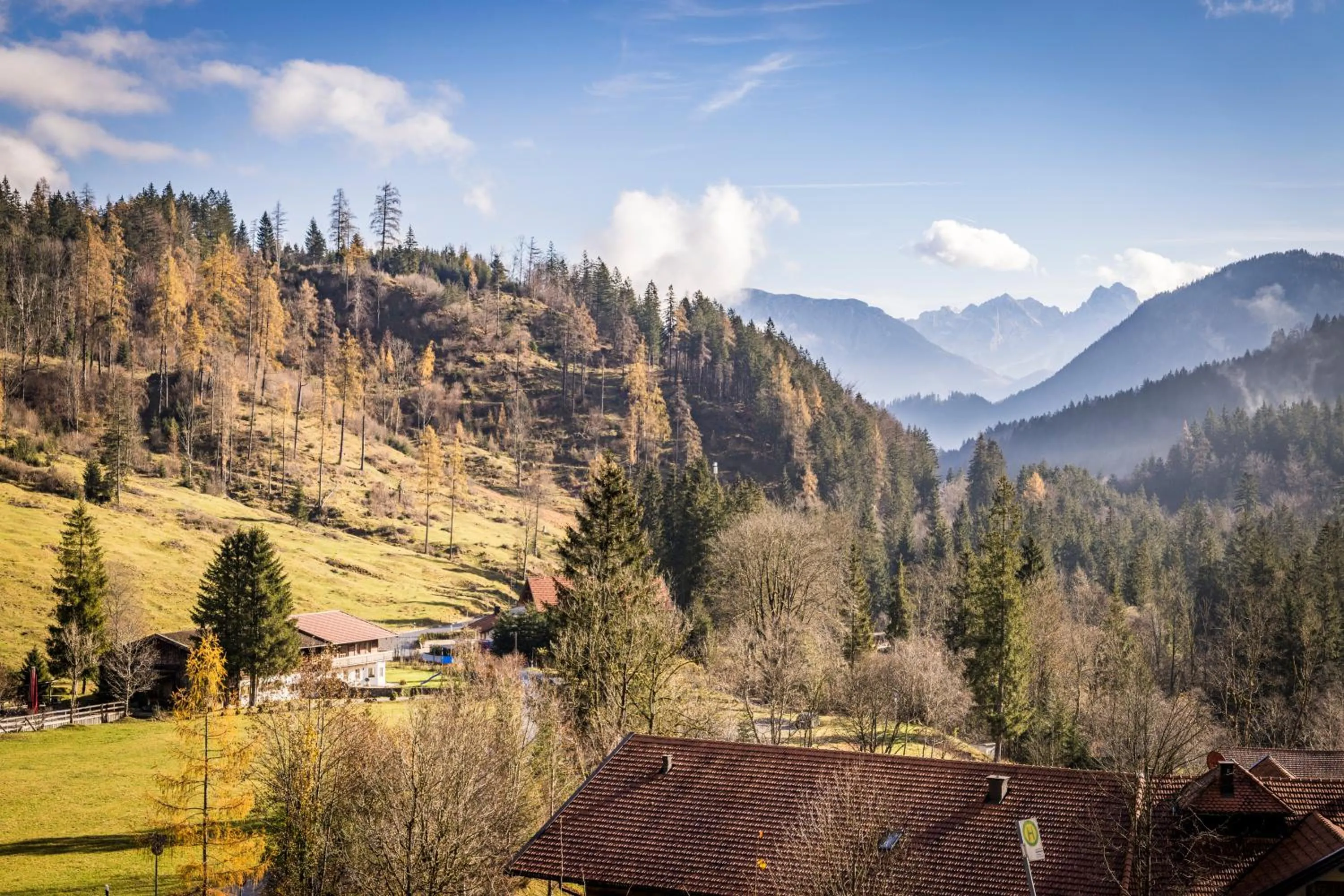 View (from property/room) in Feuriger Tatzlwurm Berghotel & Spa, BW Signature Collection