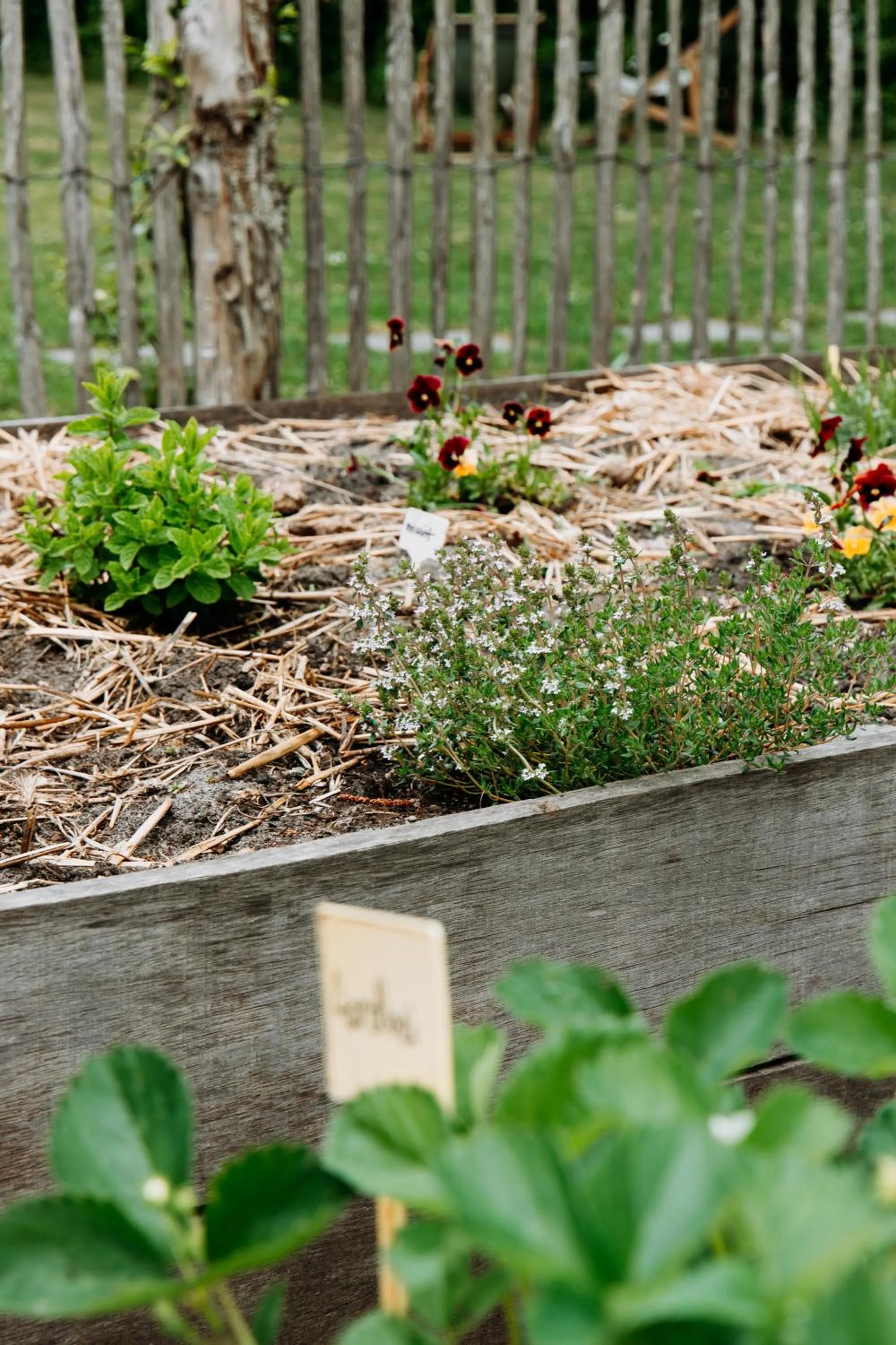 Garden in Boutique B&B Oud Aa
