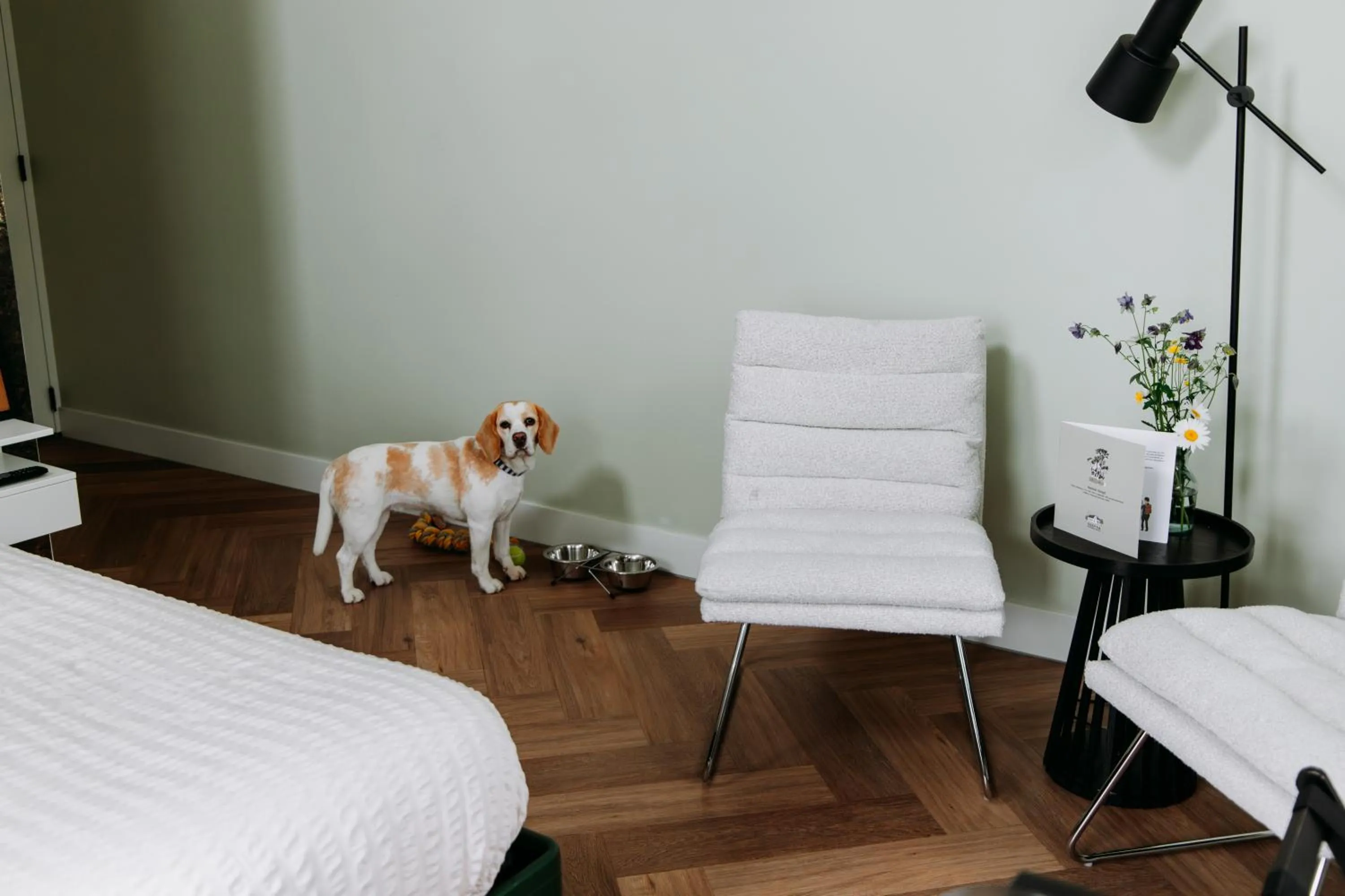 Pets in Boutique B&B Oud Aa