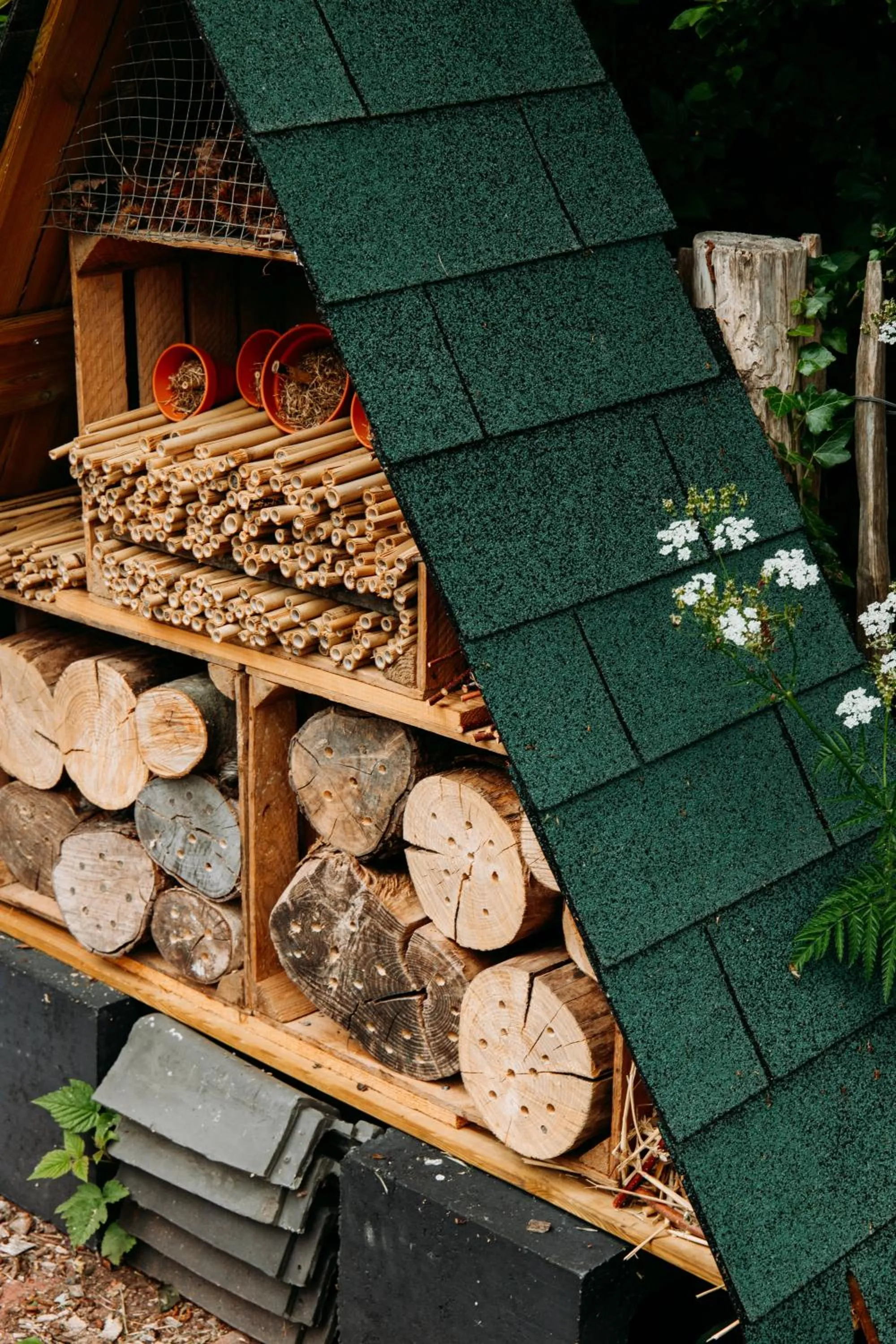 Garden in Boutique B&B Oud Aa