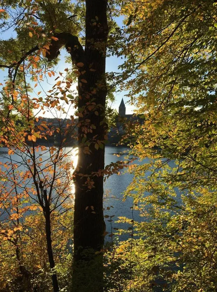 Hotel Restaurant Bürgerstube Hotel Restaurant Bürgerstube