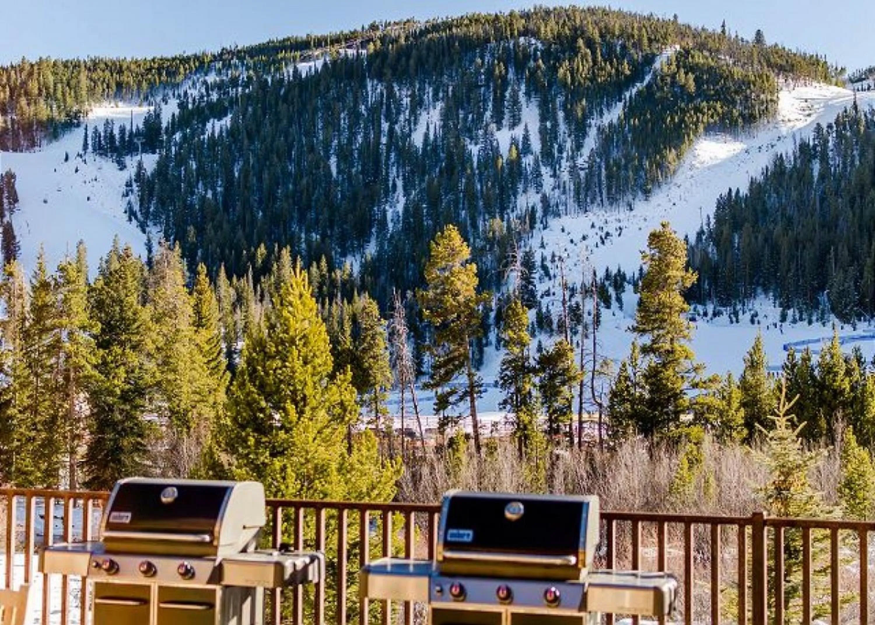 BBQ facilities in Hidden River Lodge by Summit County Mountain Retreats