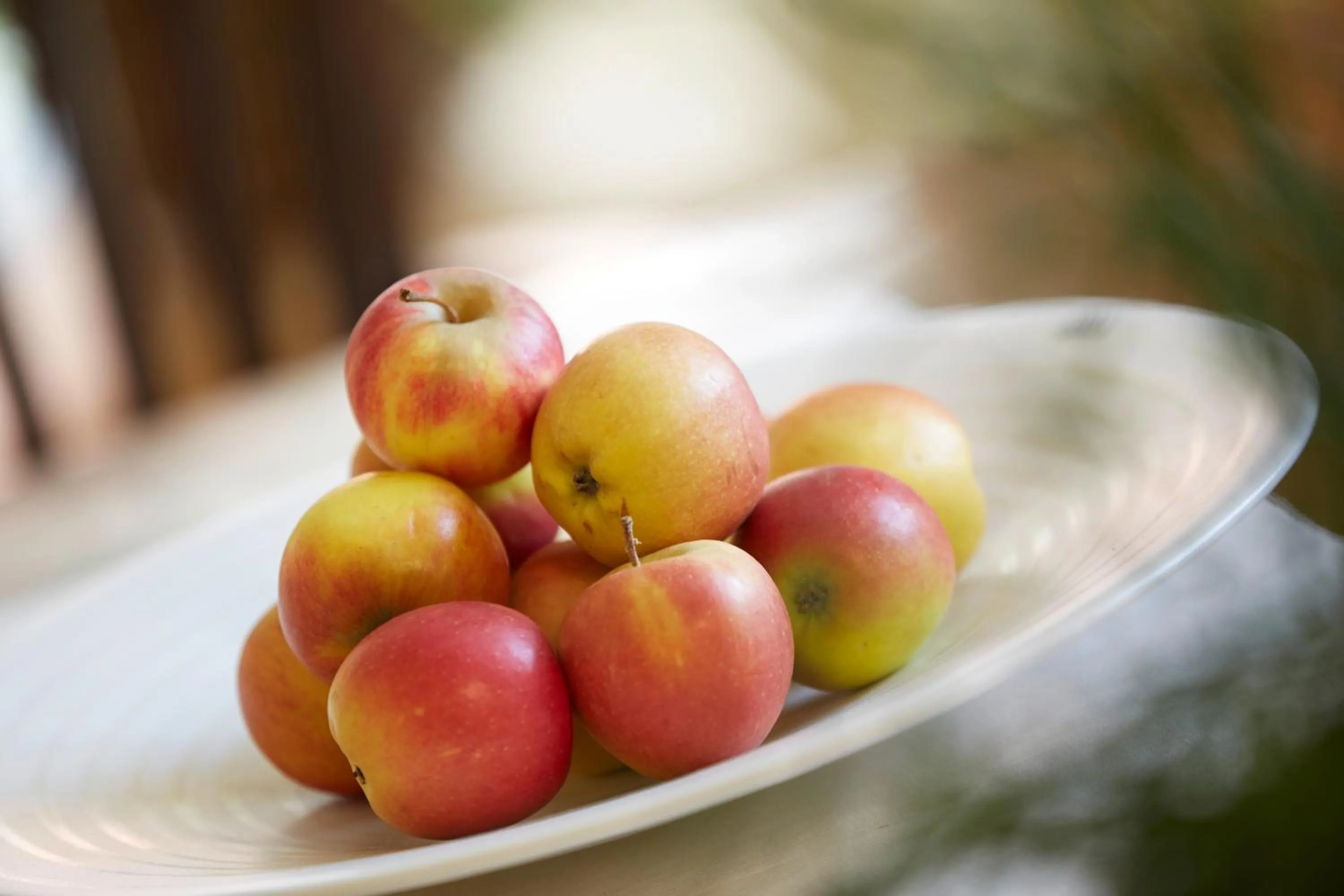 Food in Kochs Stadthotel