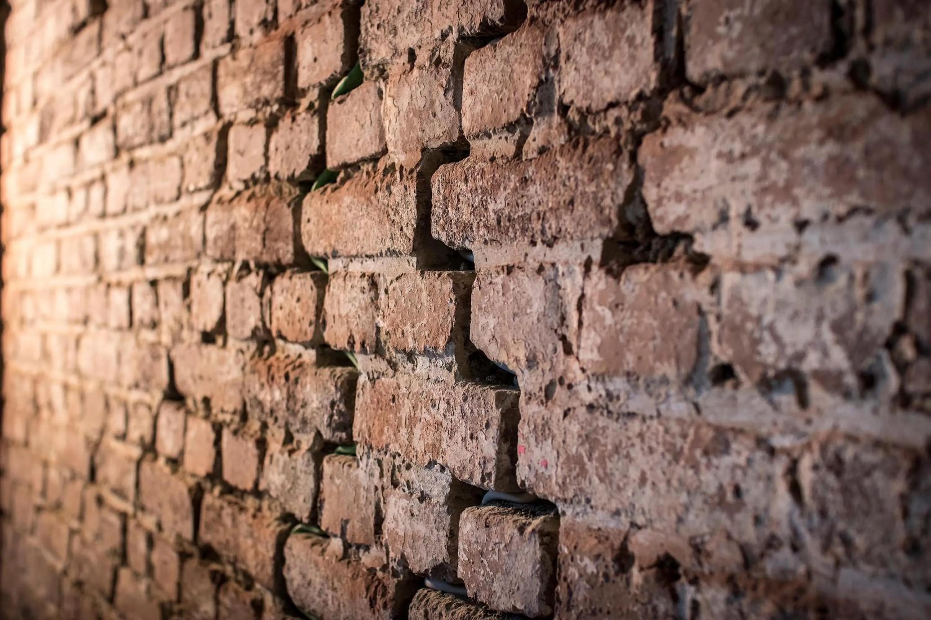 Decorative detail in Kochs Stadthotel