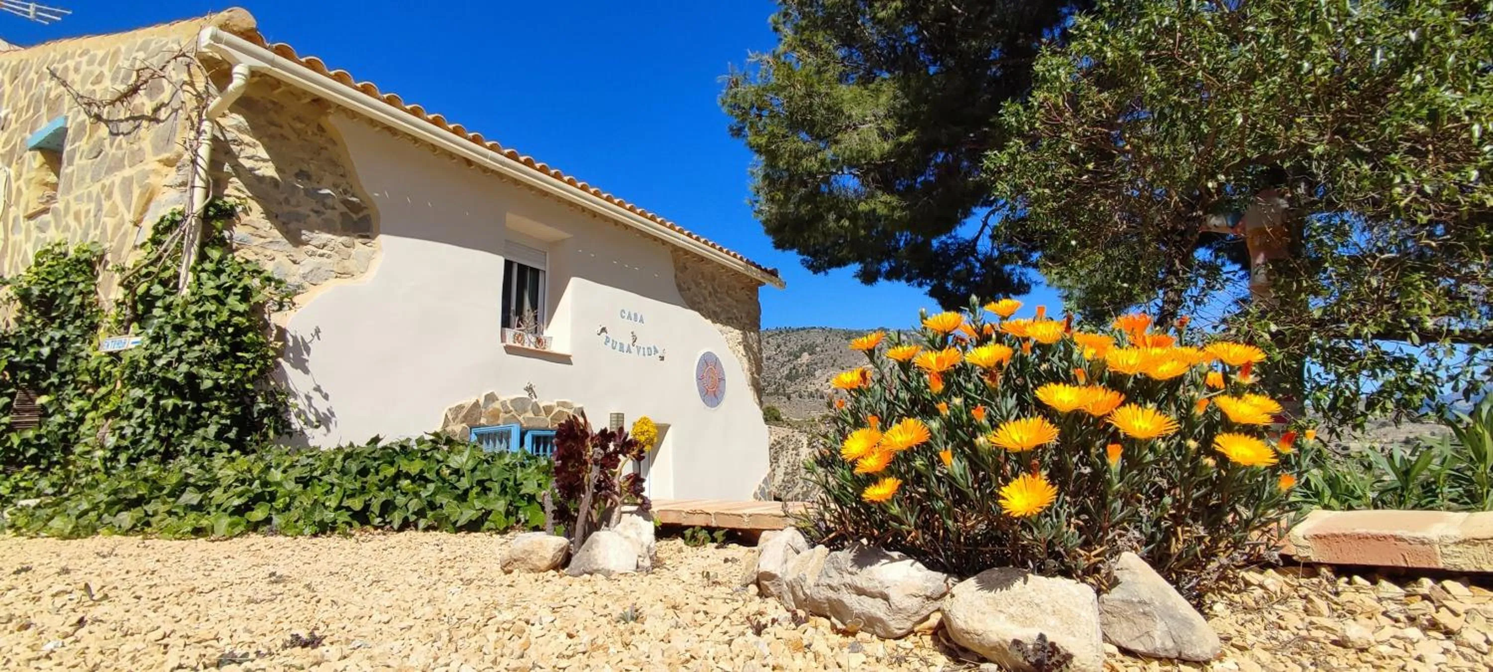 Casa Pura Vida