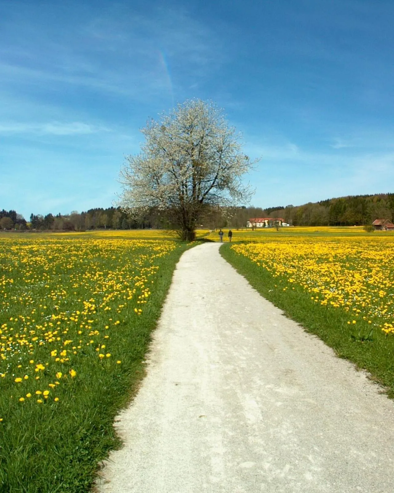 Nearby landmark in Kneipp-Kurhotel Steinle