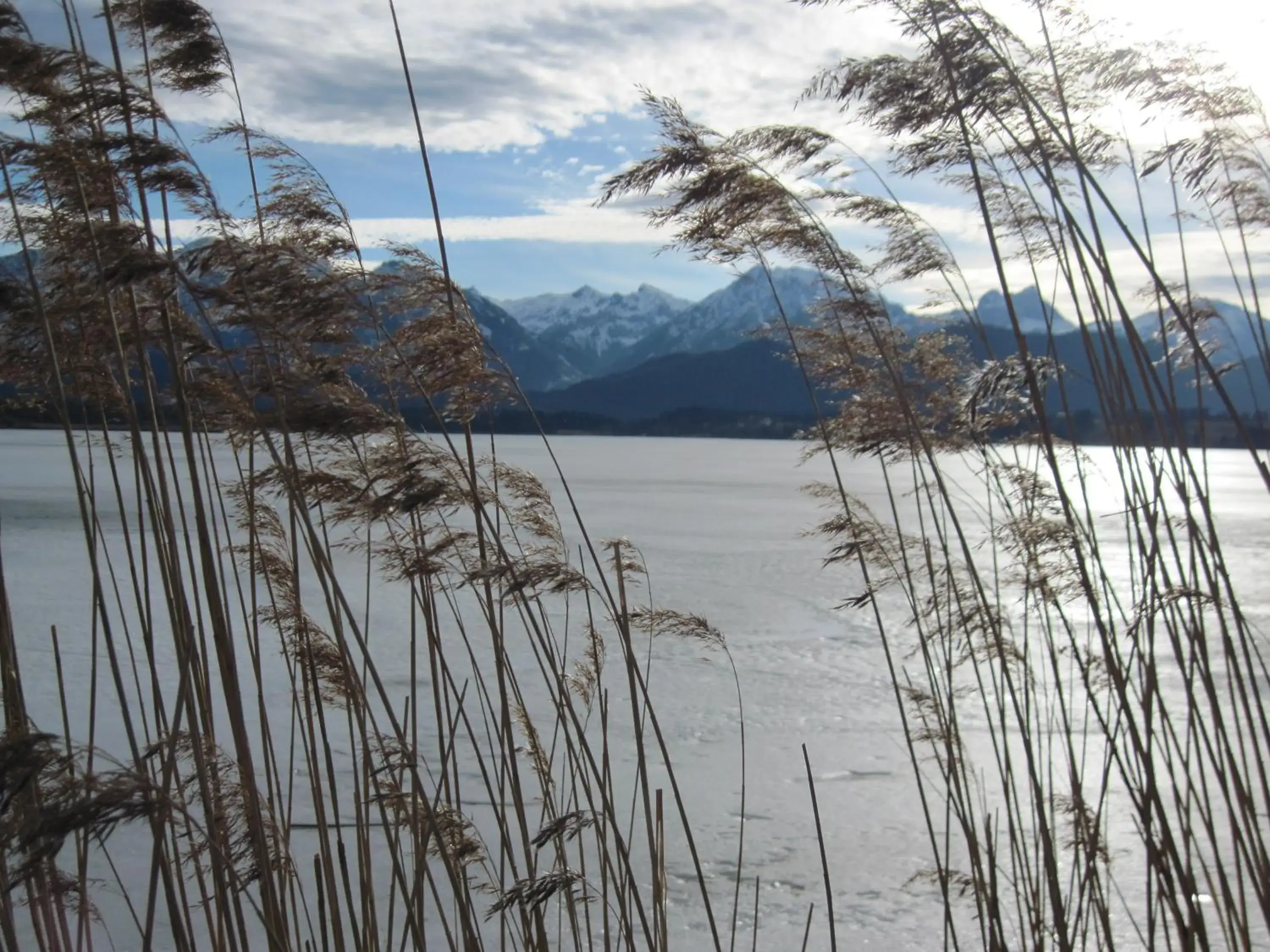 Natural landscape, Winter in Kneipp-Kurhotel Steinle