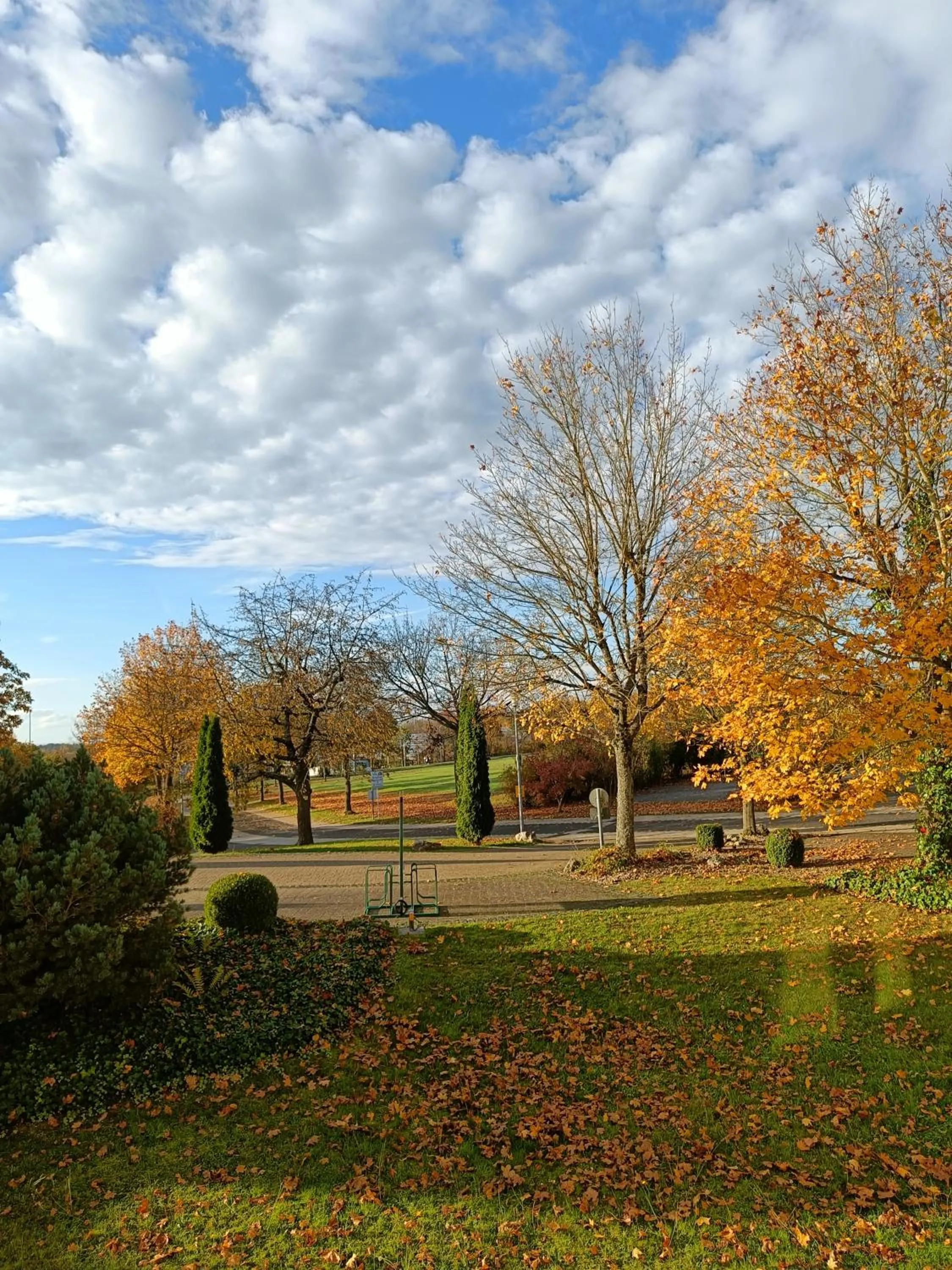 View (from property/room) in BurgStadt-Hotel