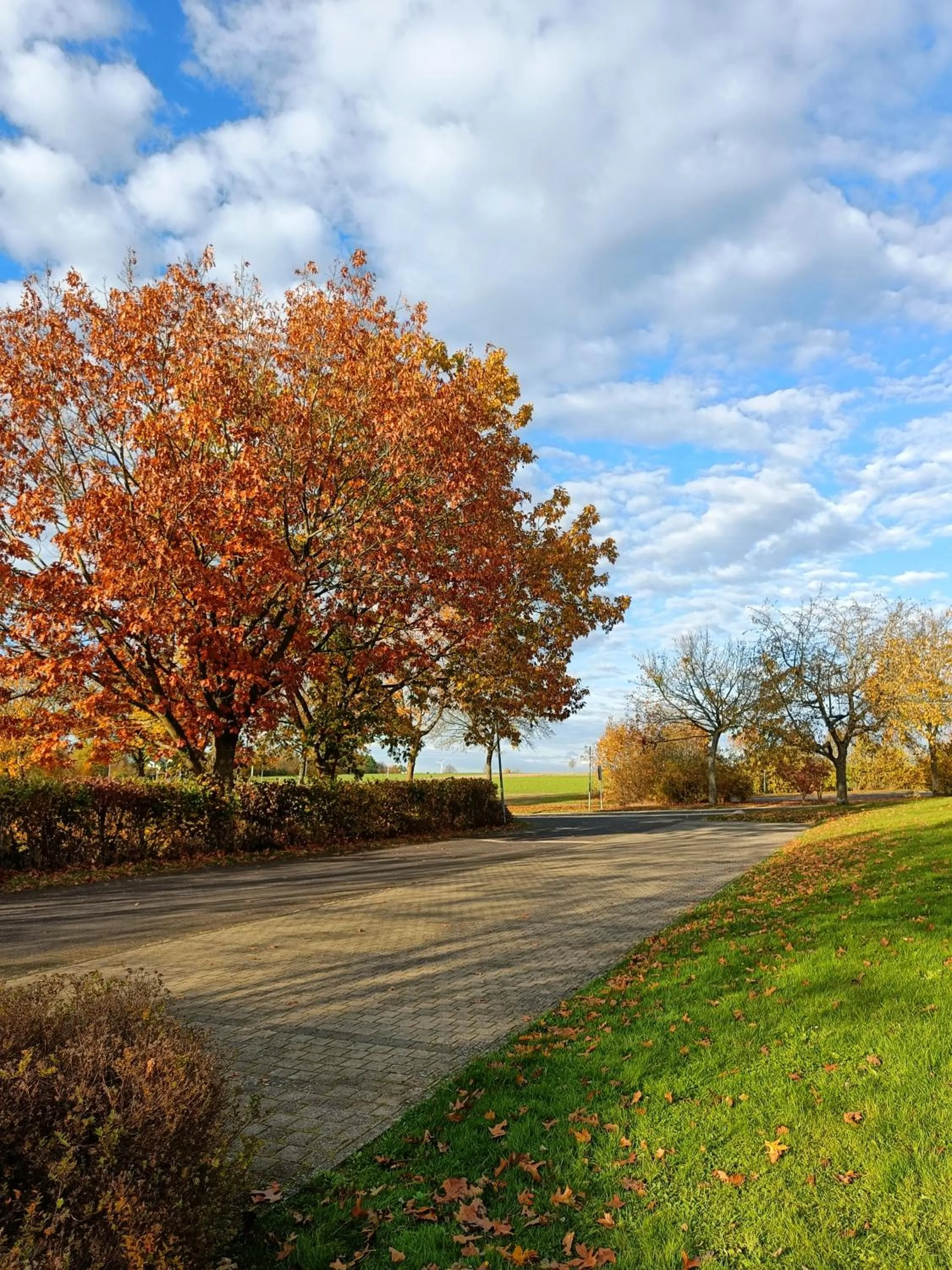 Parking in BurgStadt-Hotel