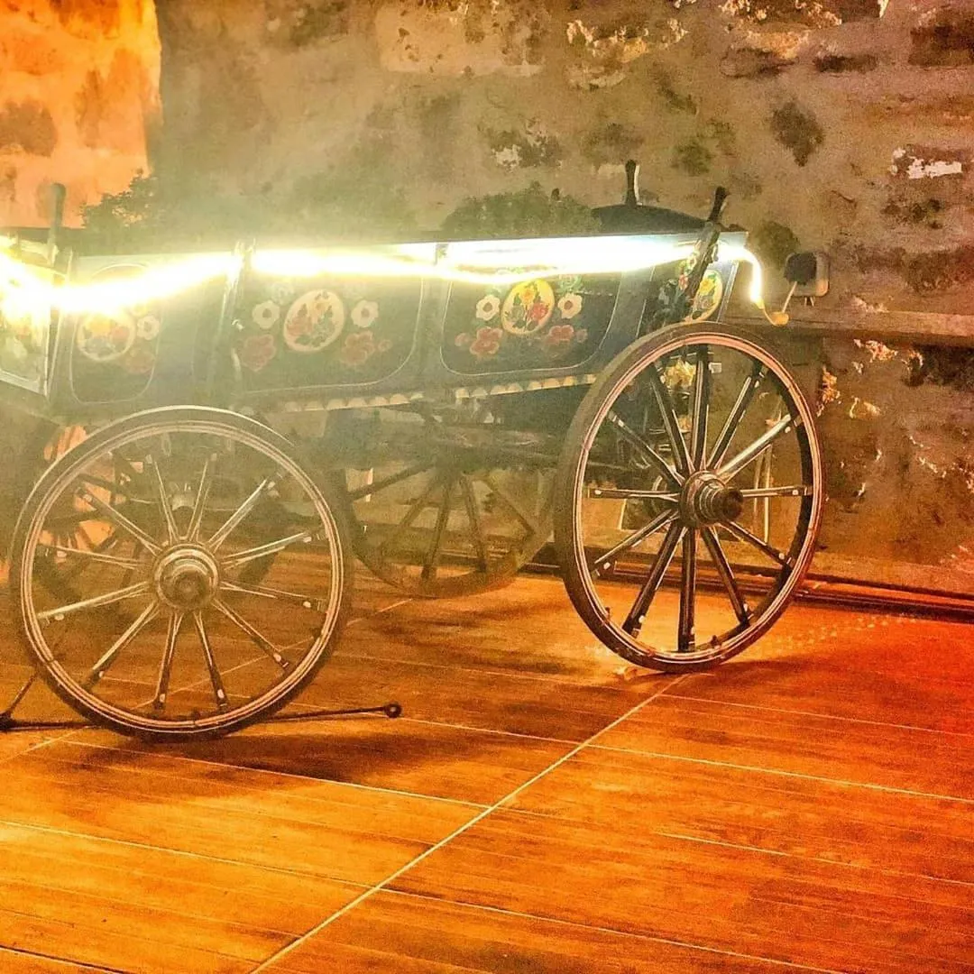 Garden in HAYAT ALTI OTEL ayvalık