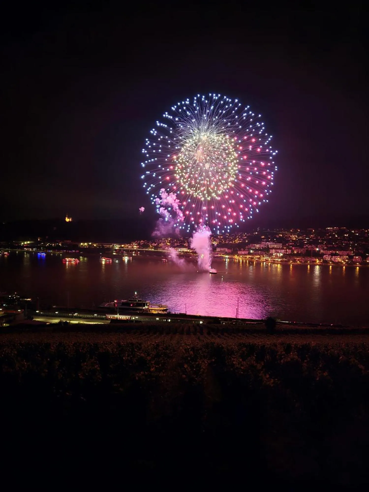 Area and facilities in Hotel Rüdesheimer Hof