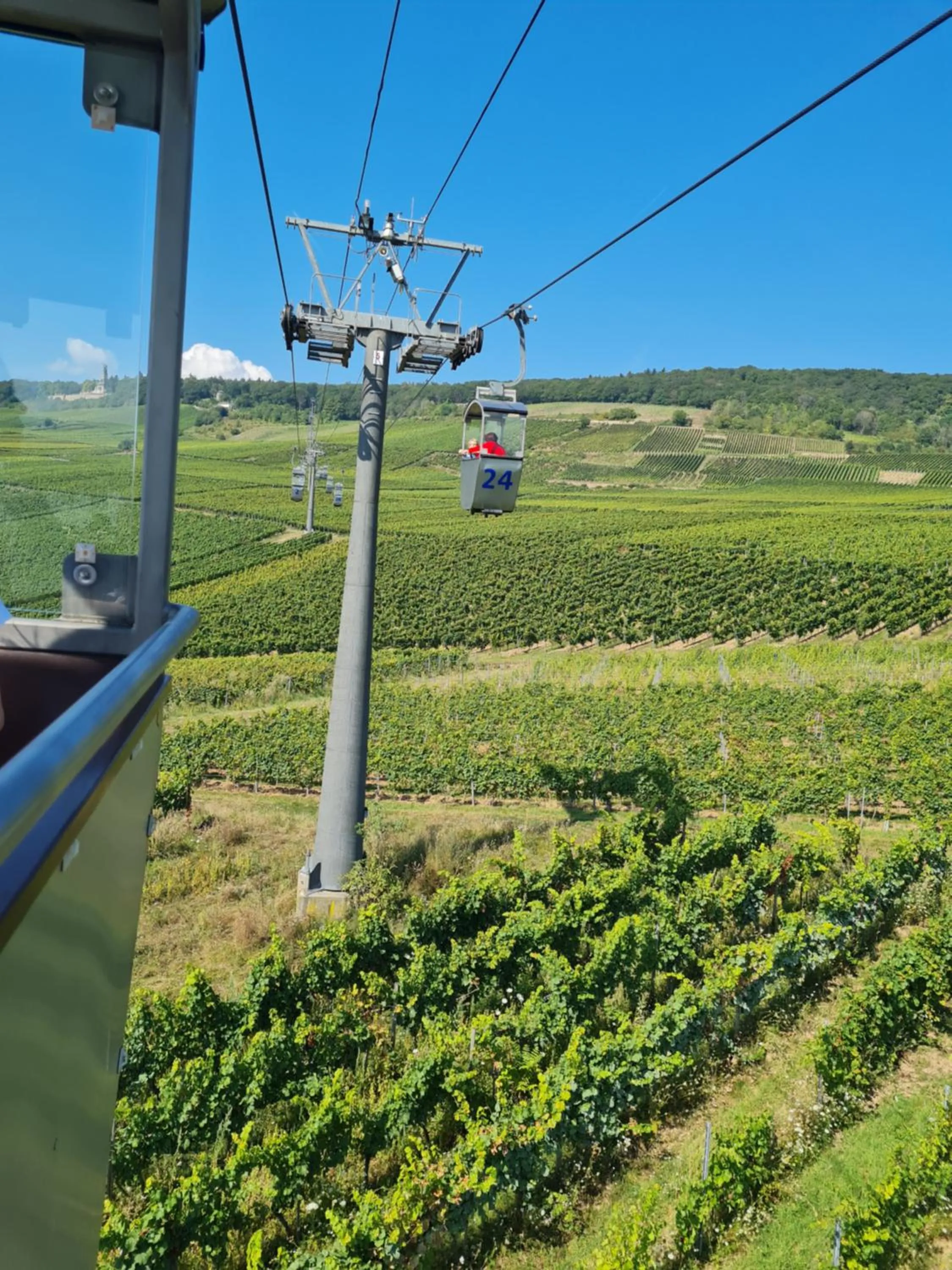 Staff in Hotel Rüdesheimer Hof