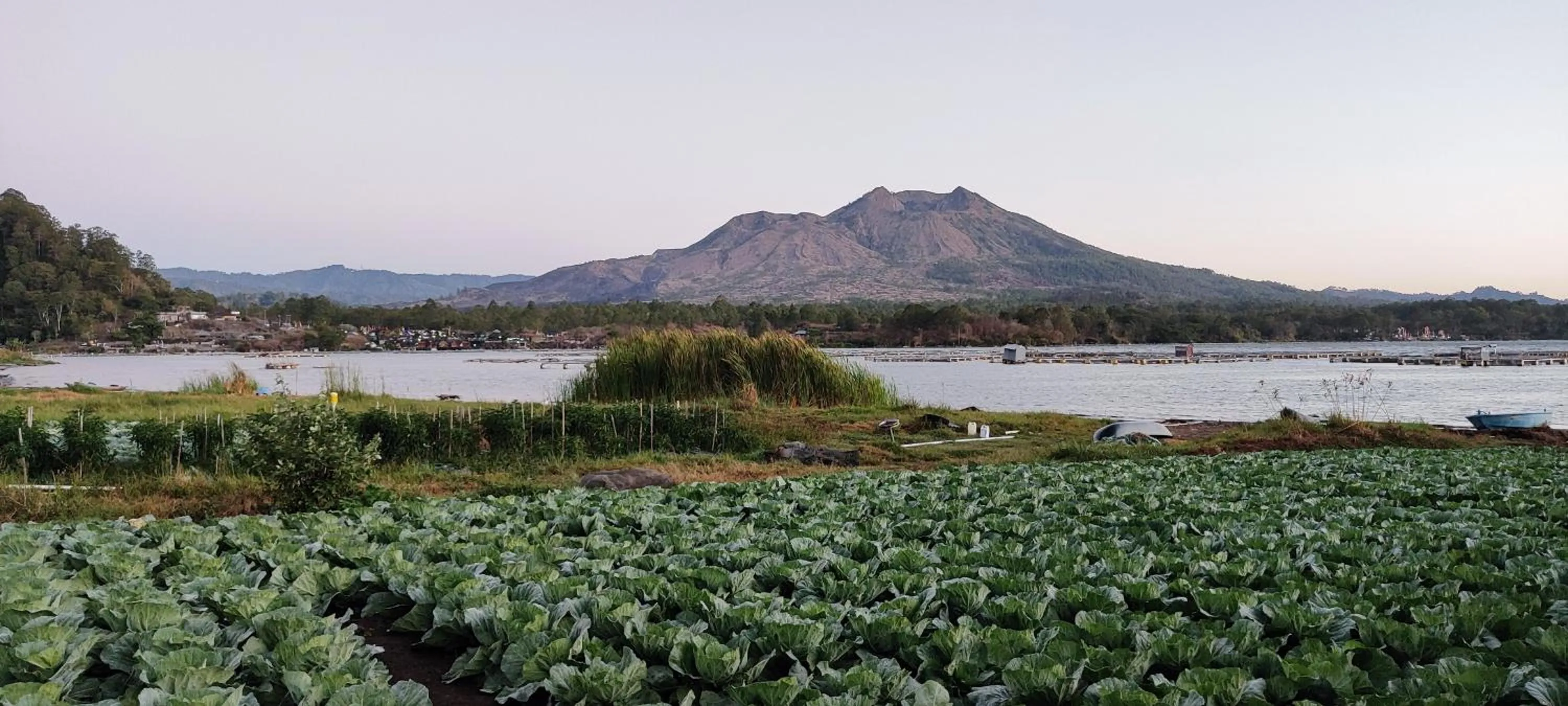 Natural landscape in Villa Kedisan Lakeview
