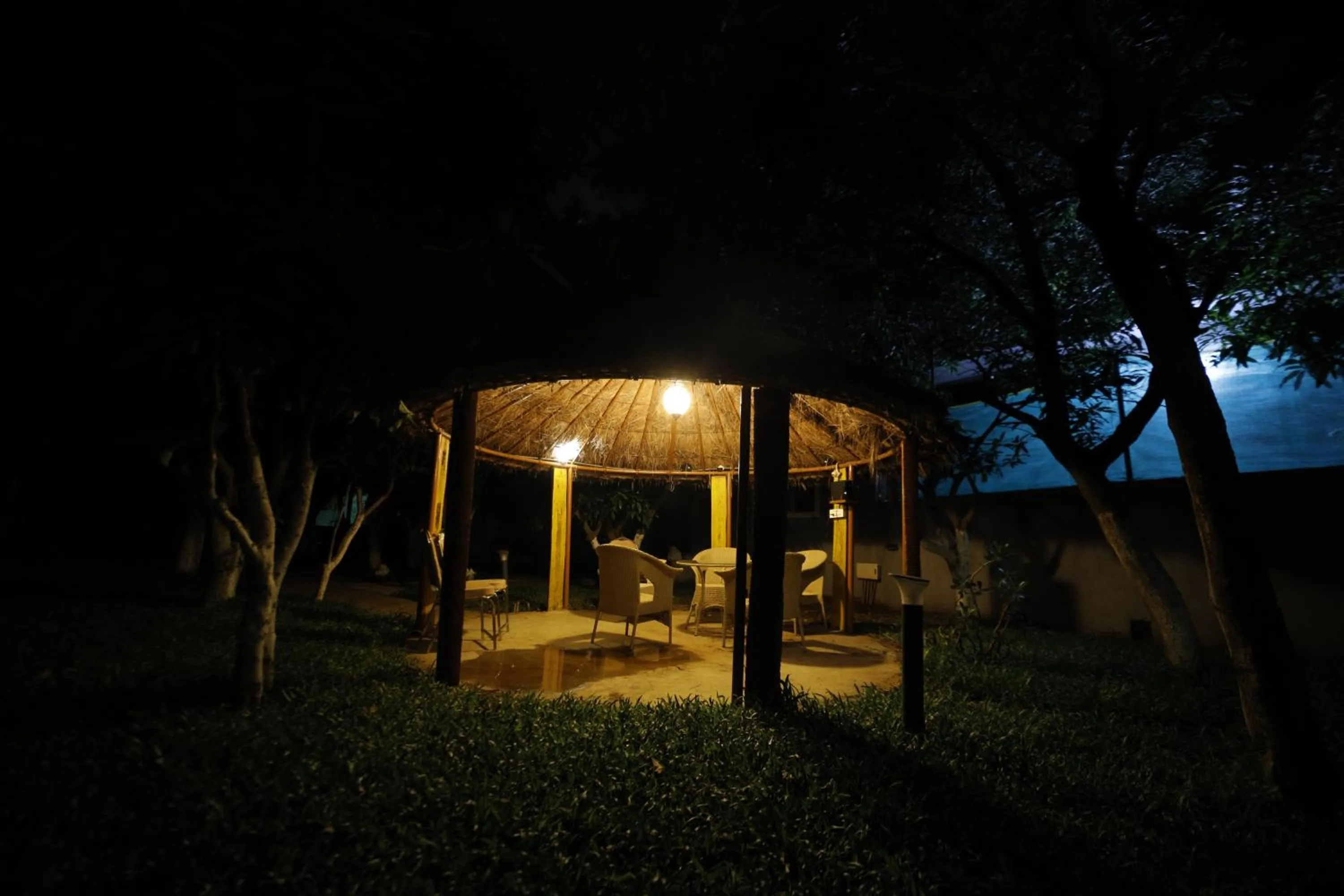 Garden view in Brown Town Resort & Spa