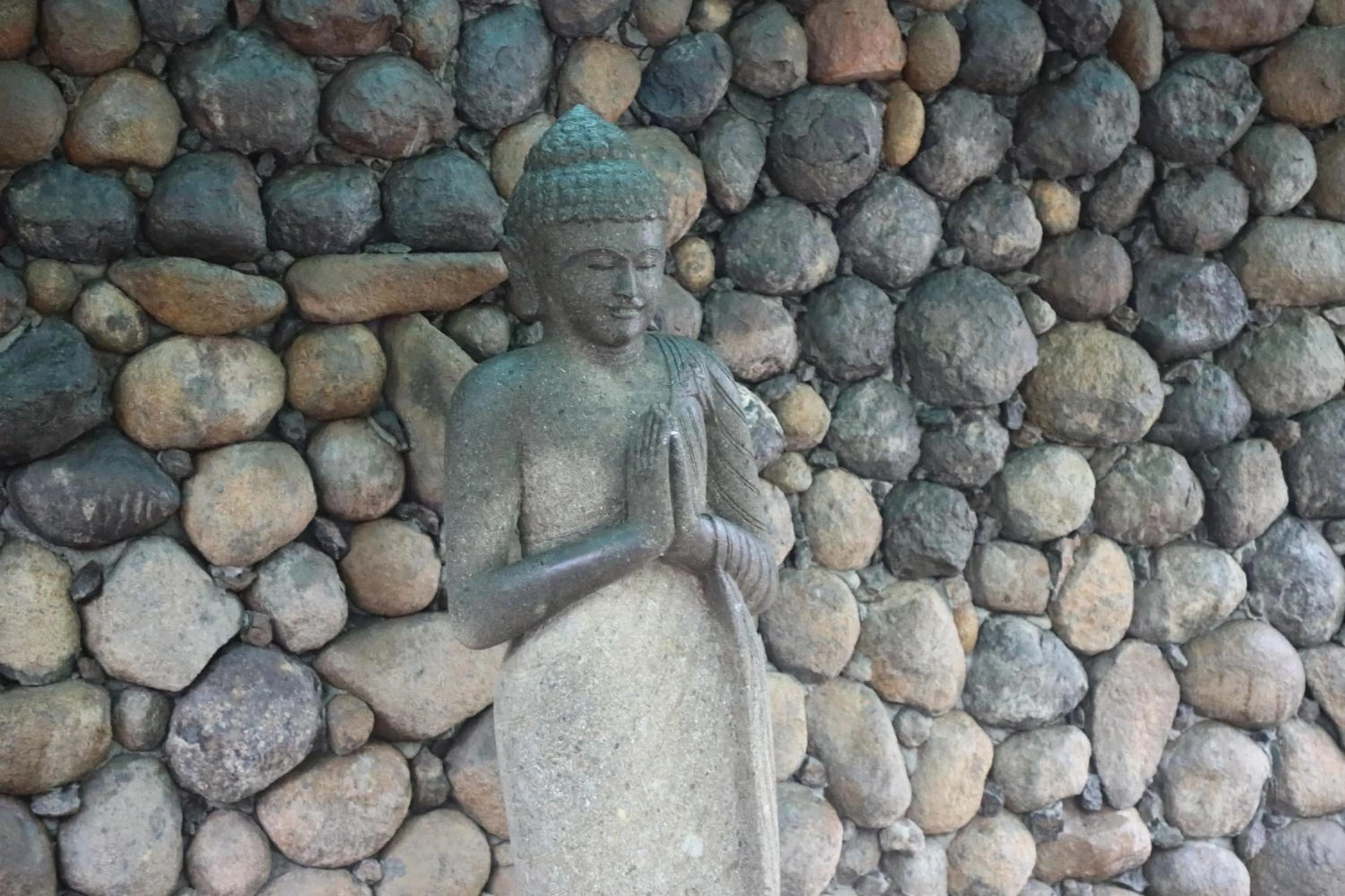 Garden view in Brown Town Resort & Spa