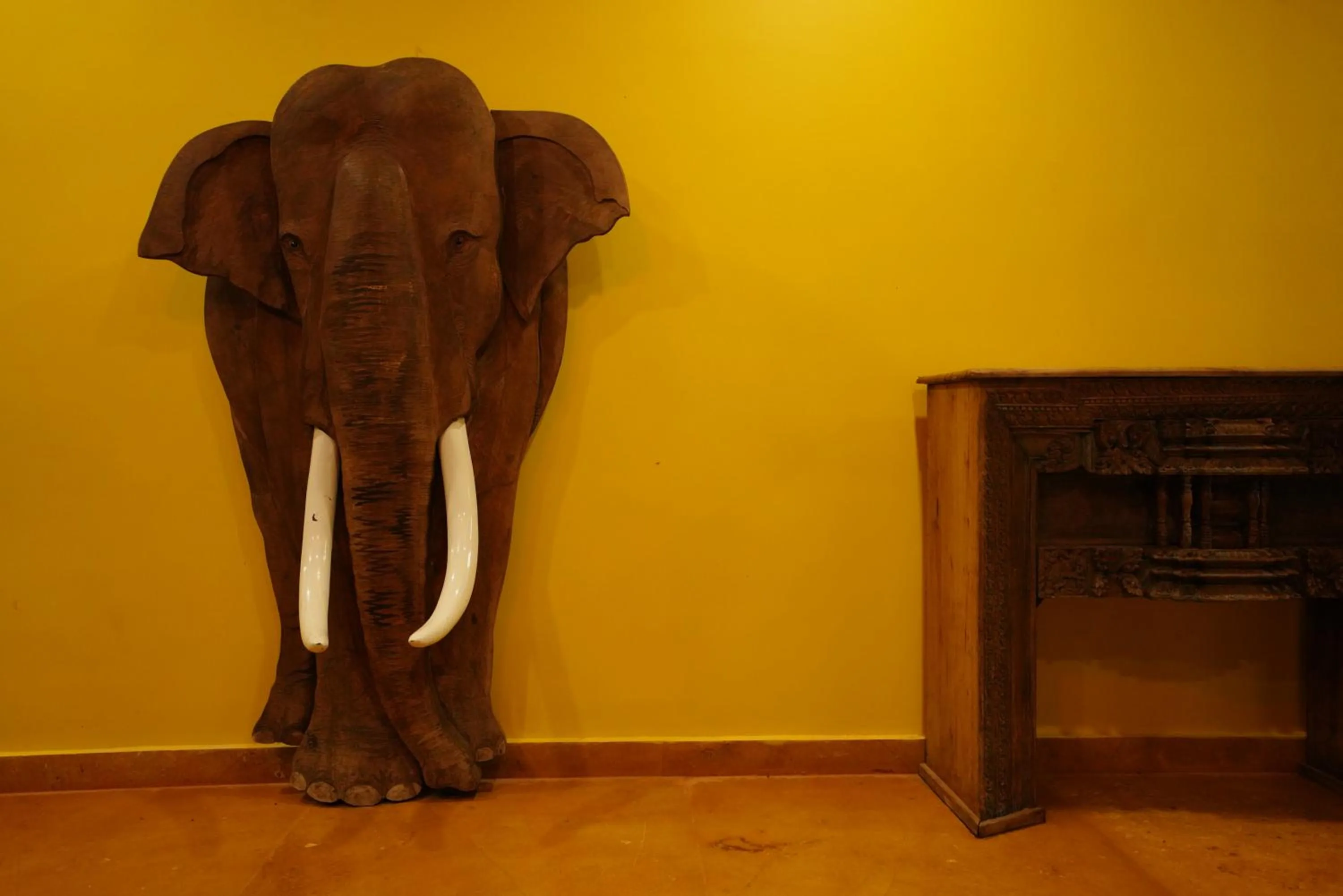 Animals in Brown Town Resort & Spa