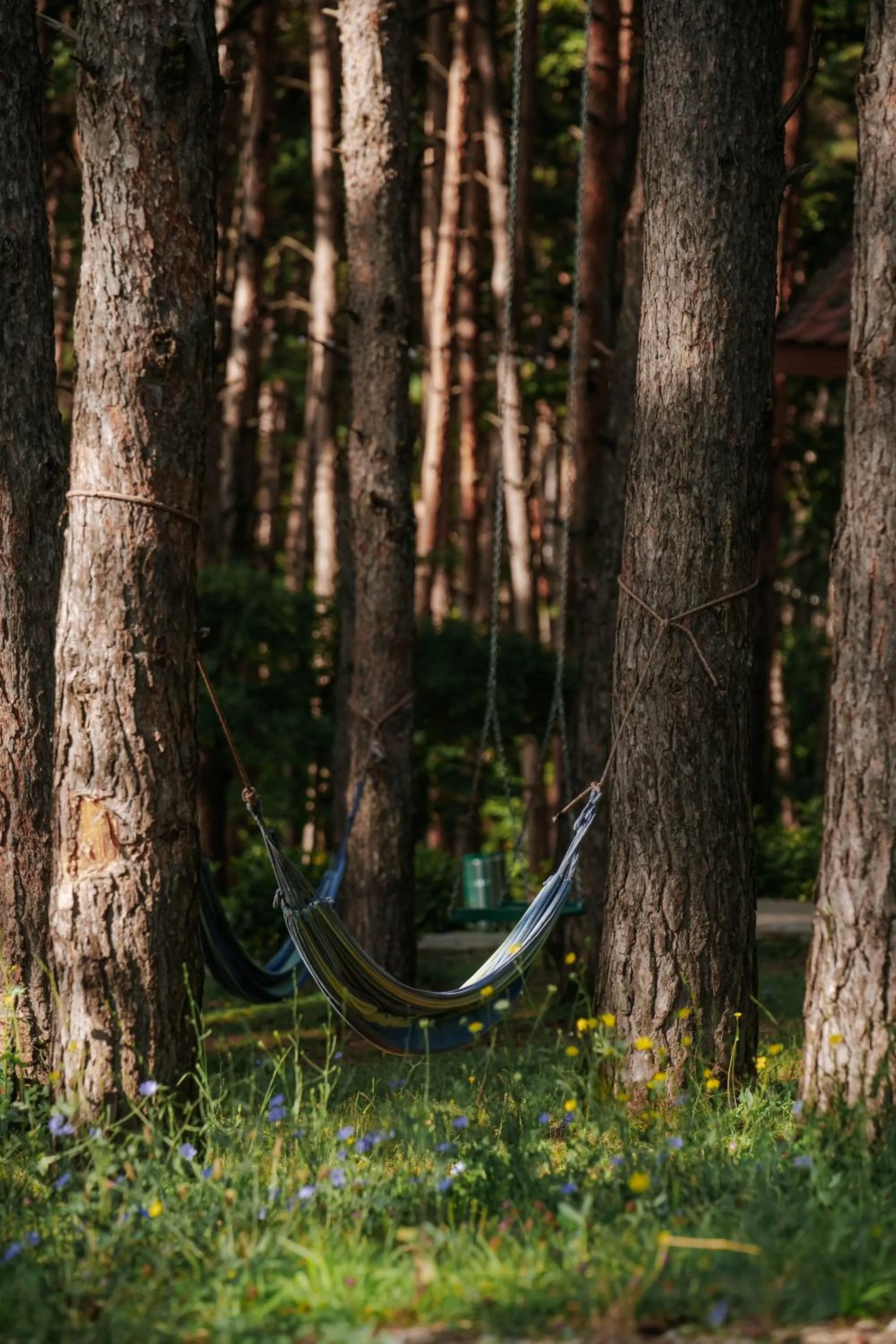 View (from property/room) in Zuzumbo Resort & Spa