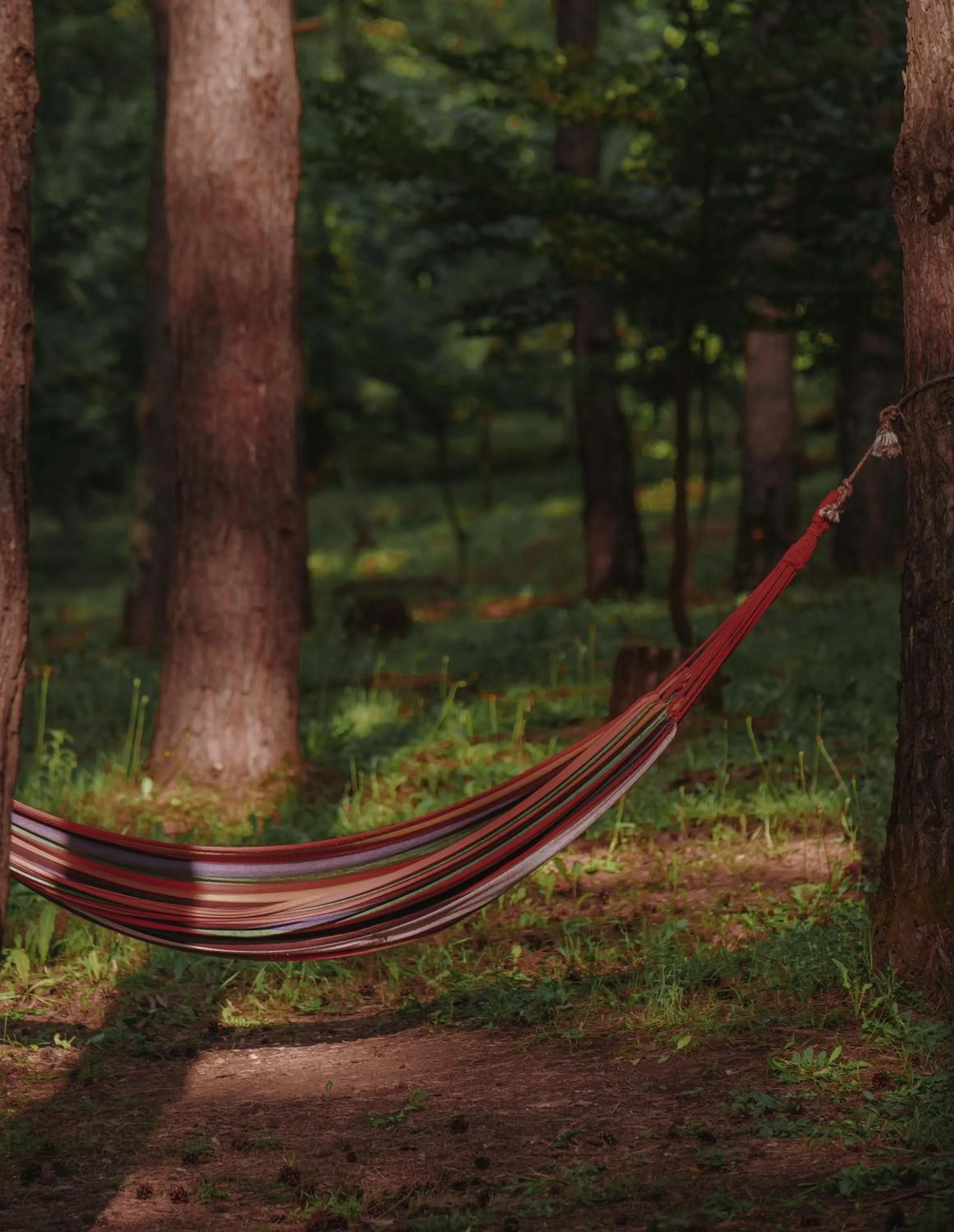 Property building in Zuzumbo Resort & Spa