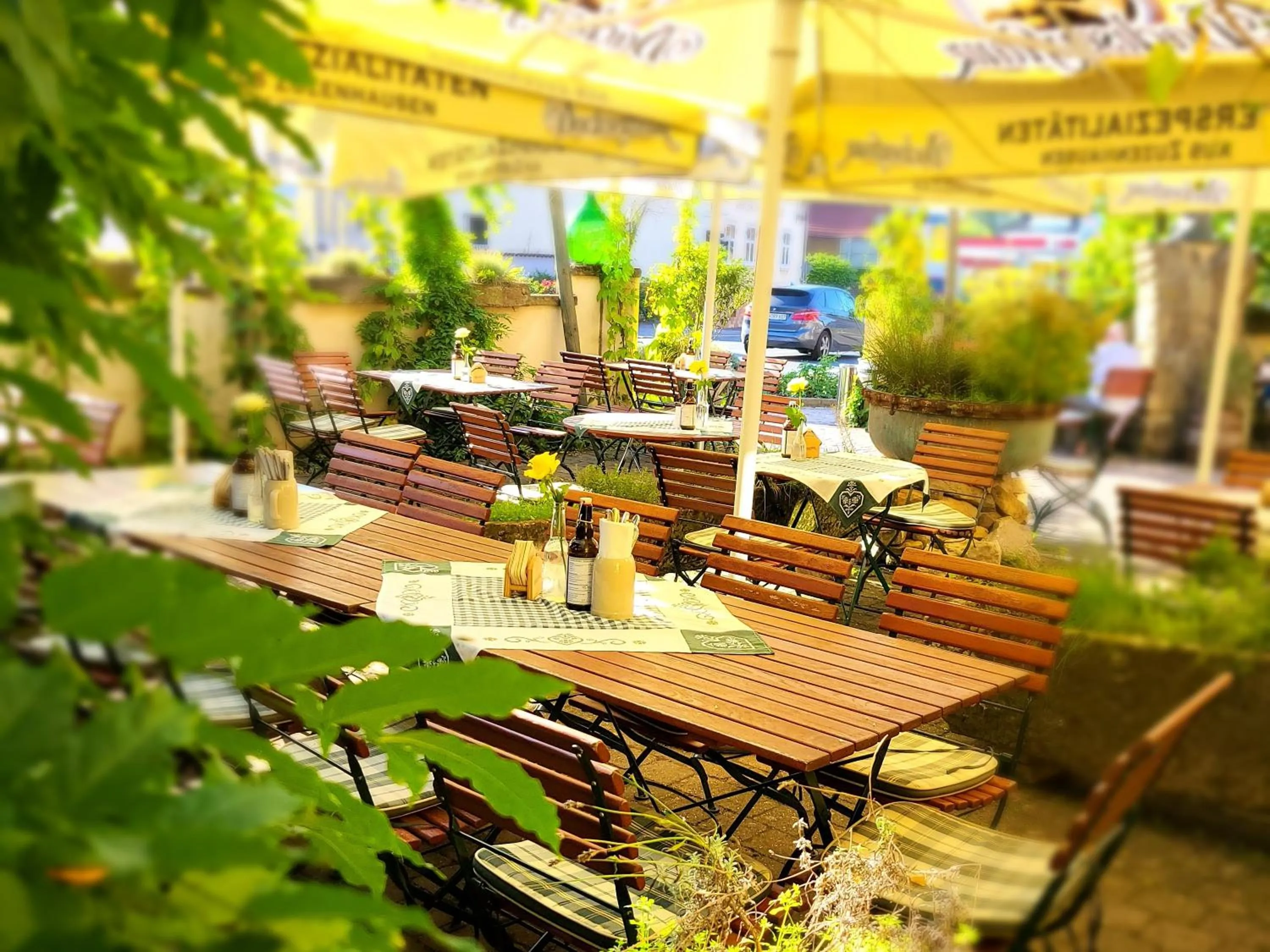 Garden view in Brauereigasthof Dachsenfranz