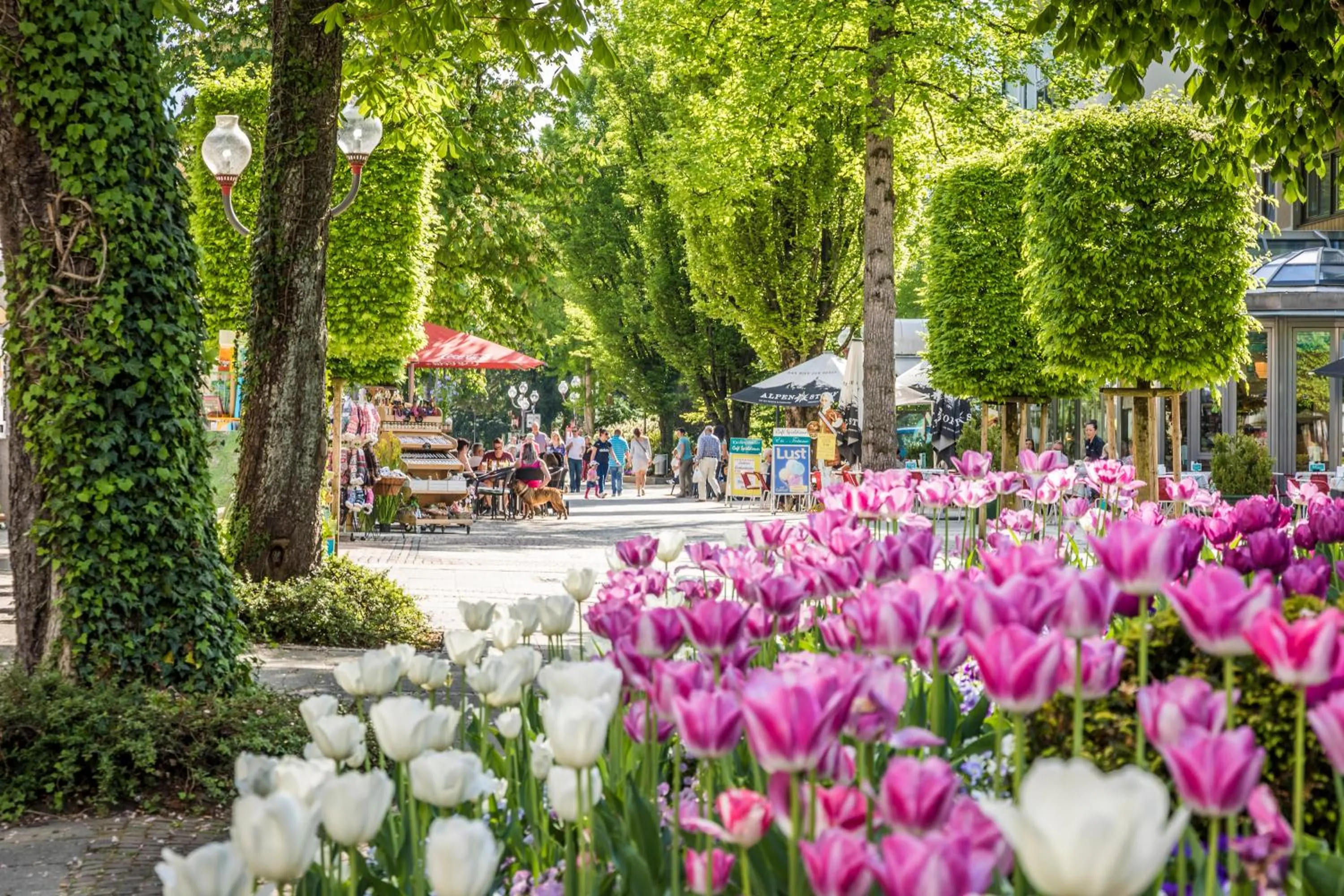 Area and facilities in Villa Rein Boutiquehotel