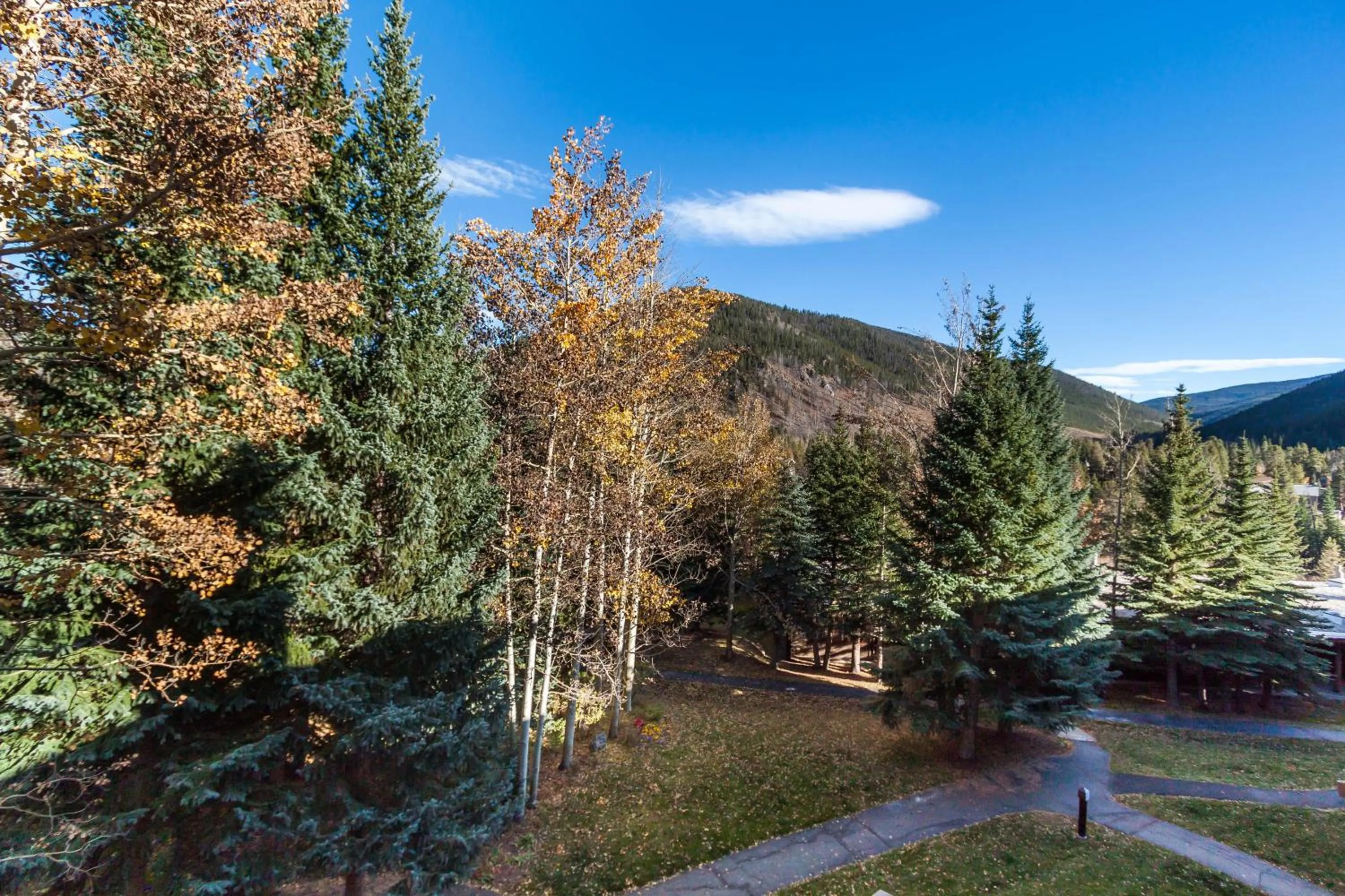 Mountain view in Lodgepole 2008