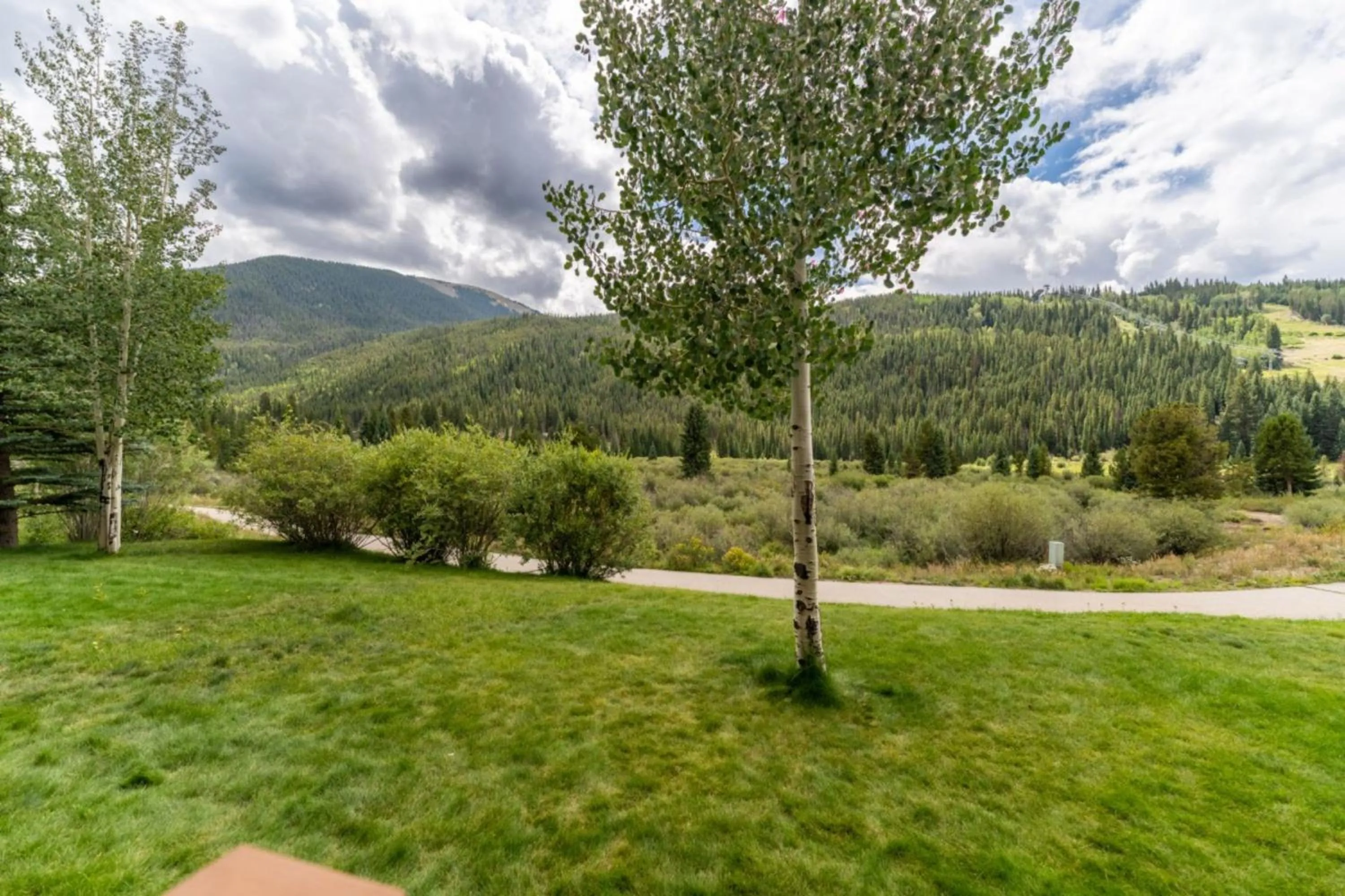 Natural landscape in Red Hawk Townhomes by Summit County Mountain Retreats