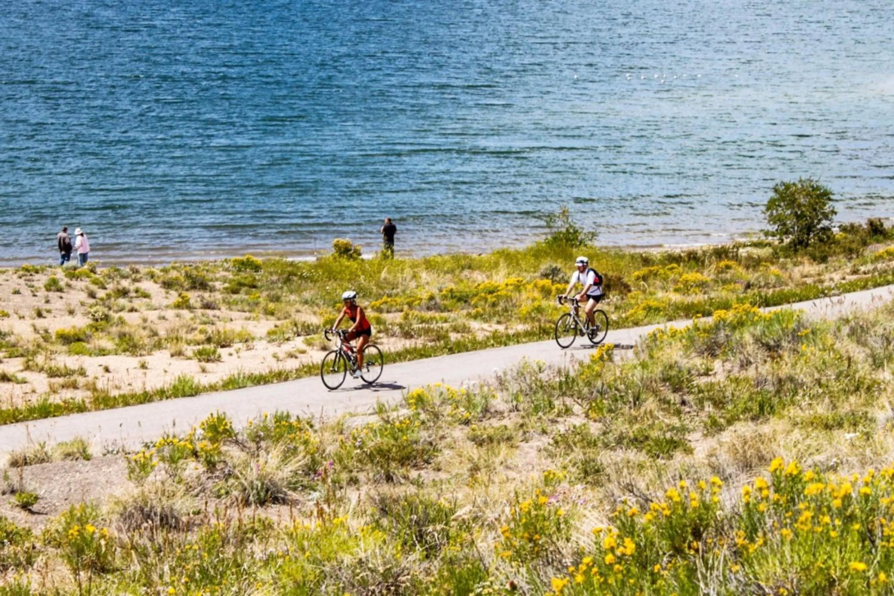 Cycling in Ski Tip by Summit County Mountain Retreats