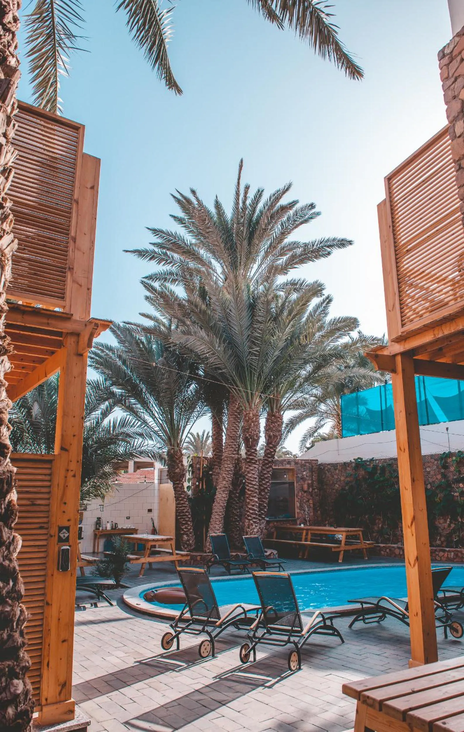 Restaurant/places to eat in The Bridge Dahab