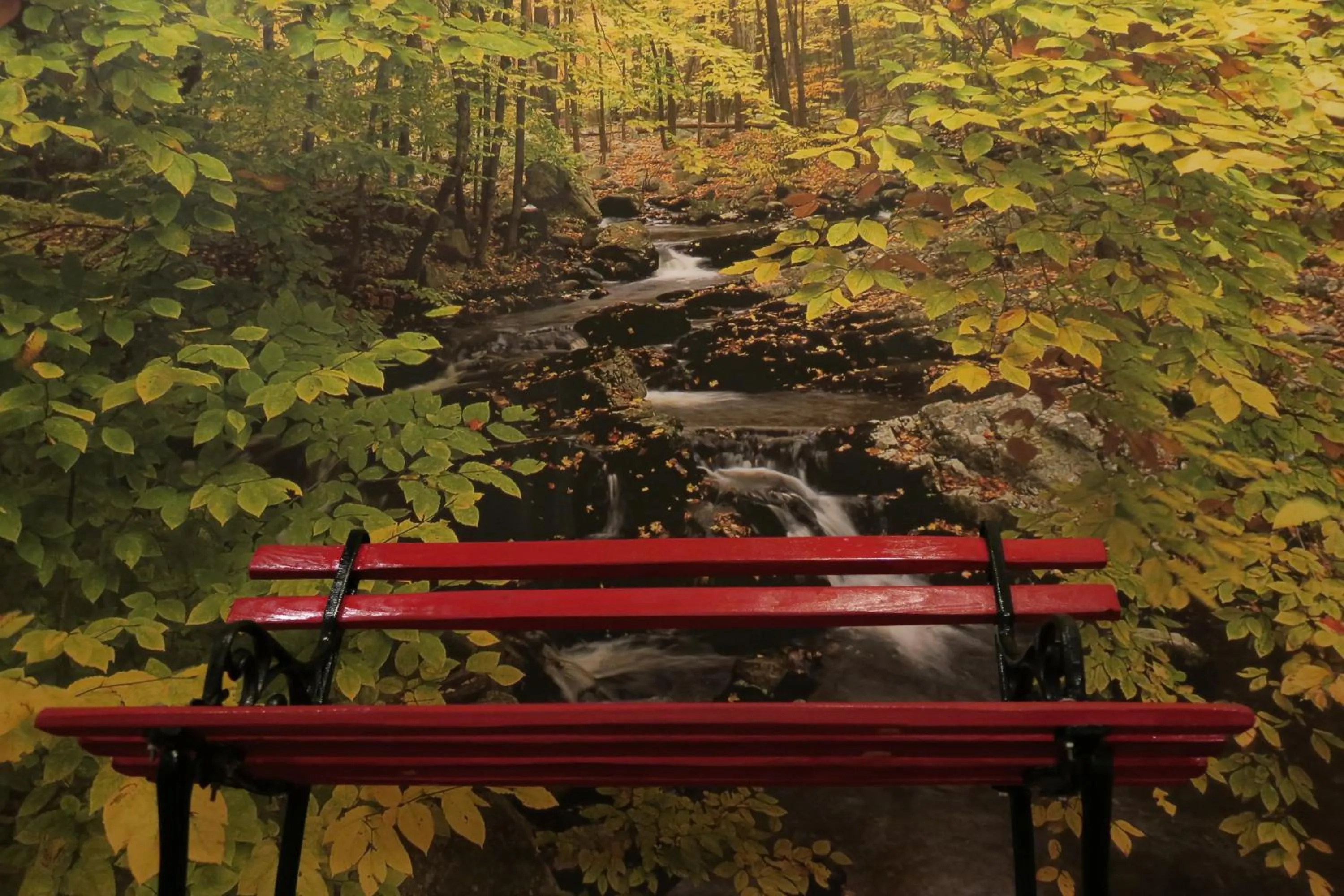 Natural landscape in Piccolo Hotel