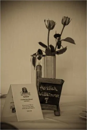 Decorative detail in Balthasar Neumann Speiserei & Gästehaus - Zentrum Brühl -E-Ladestation, nähe Phantasialand