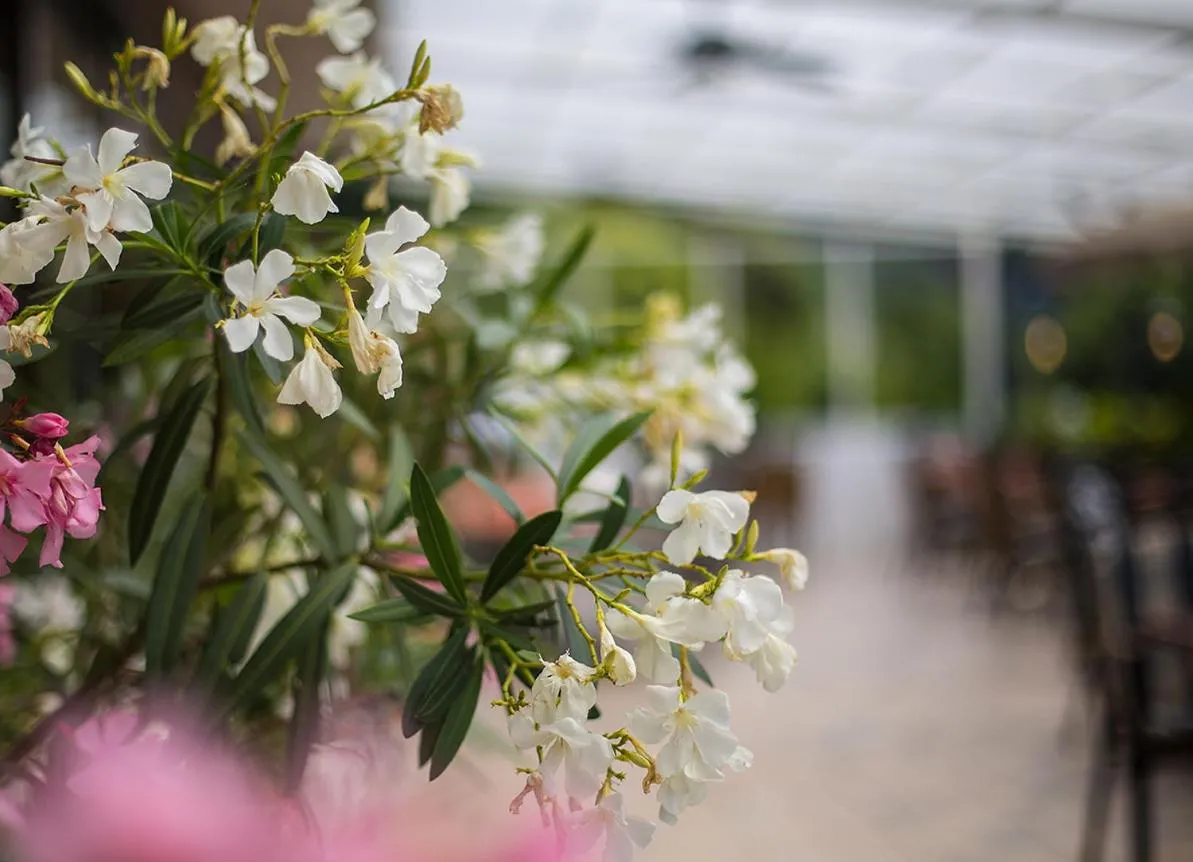 Other in Hotel Zehnthof