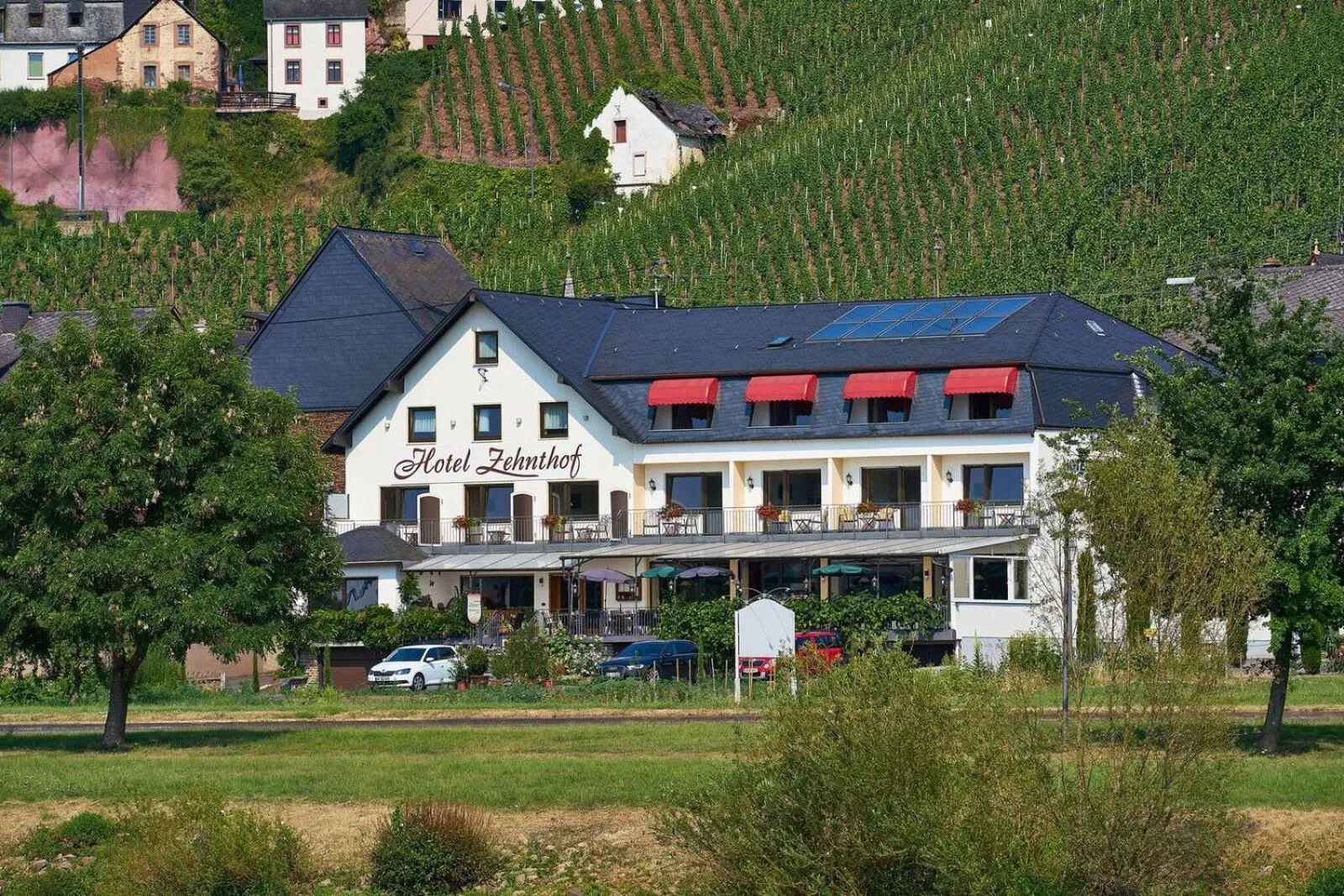 Natural landscape in Hotel Zehnthof