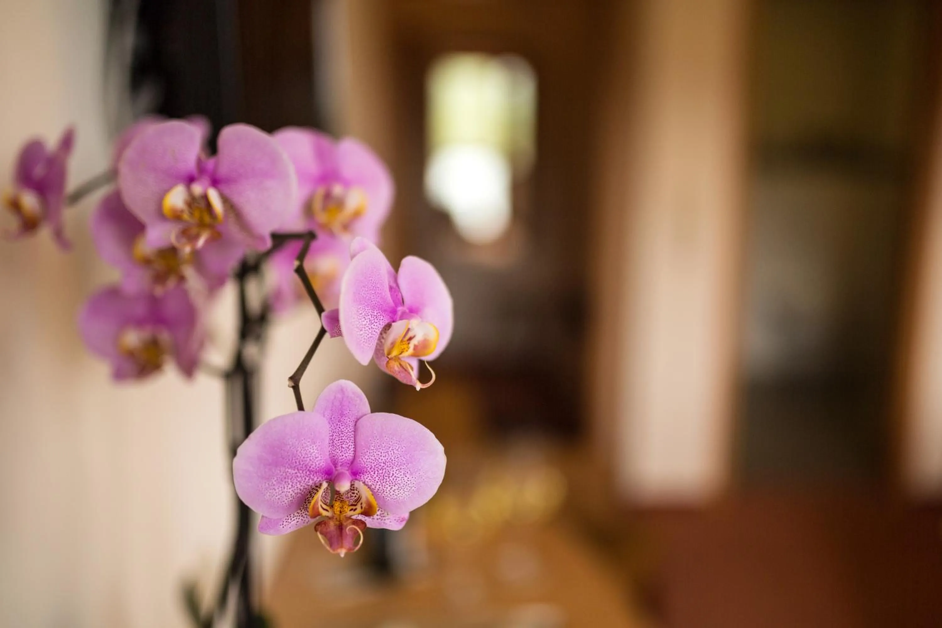 Hotel Zehnthof
