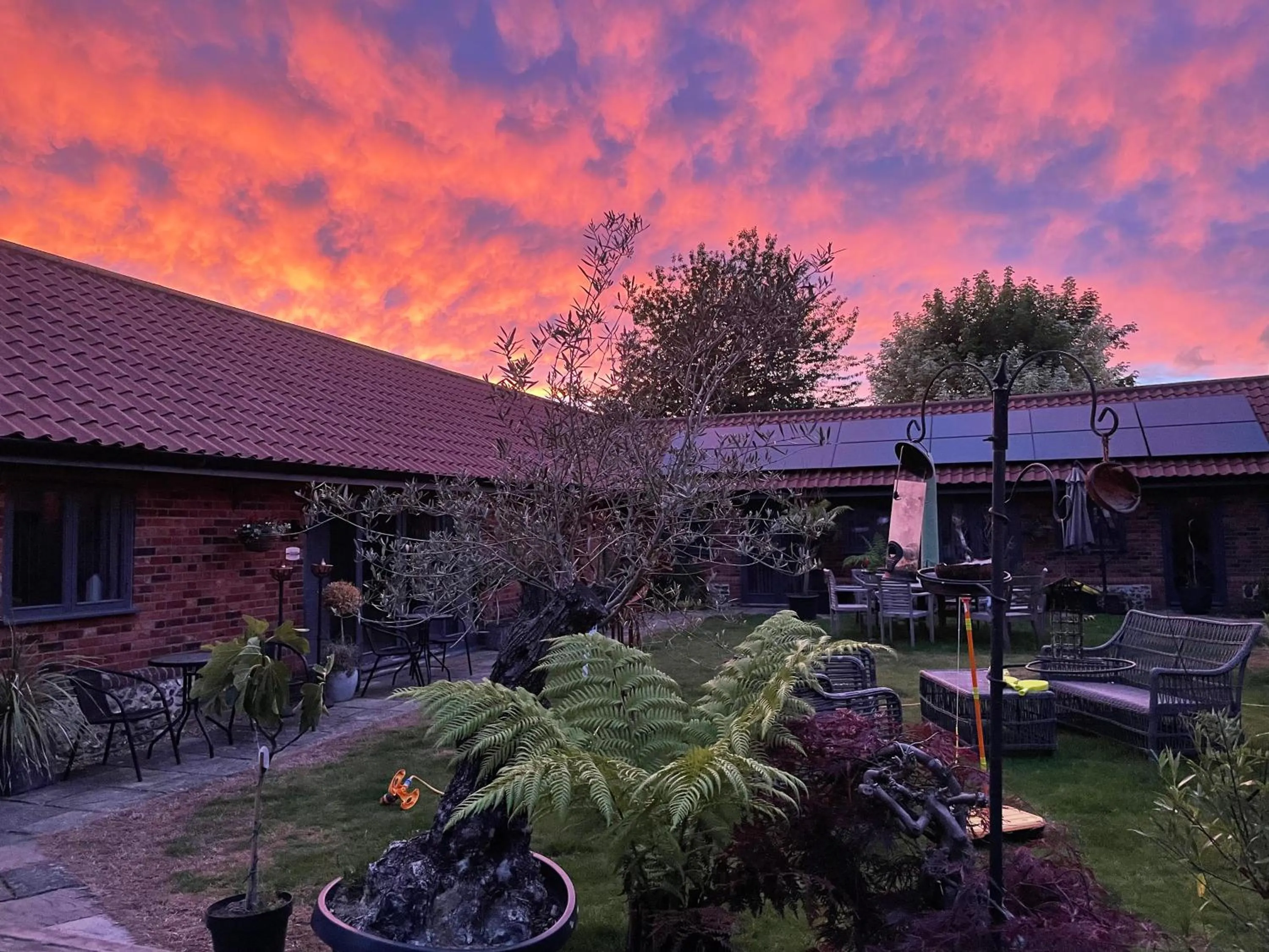 Garden in Bumble Barn Bed & Breakfast