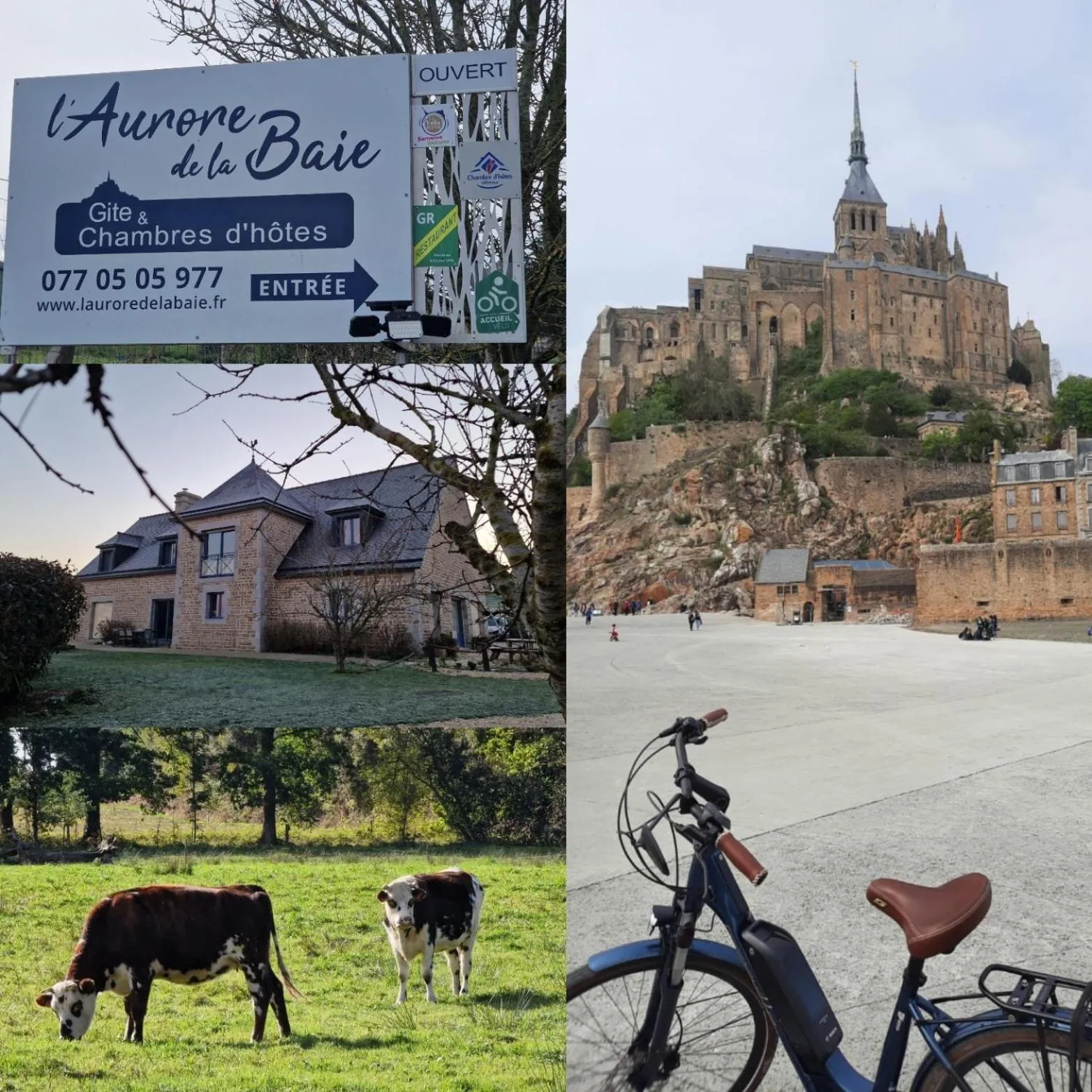 L'Aurore de la Baie, vue sur le Mont-Saint-Michel