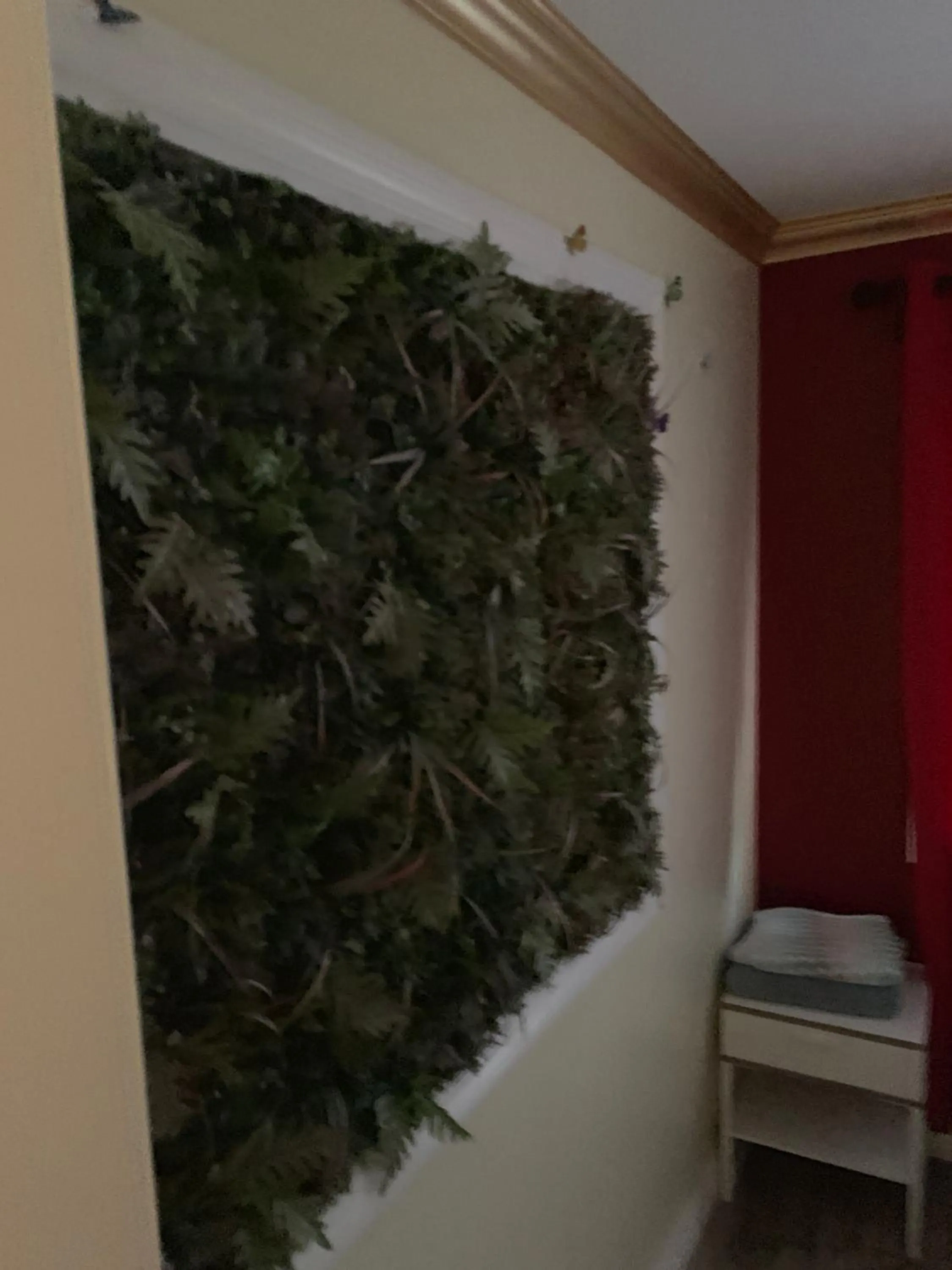 Bed in LAX guest house