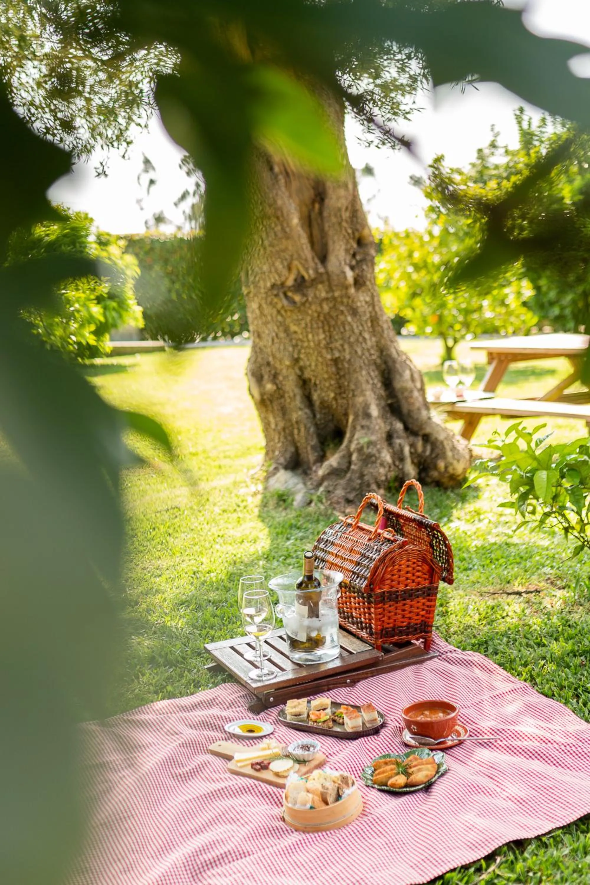 Off site in Casa Lata - Agroturismo e Enoturismo