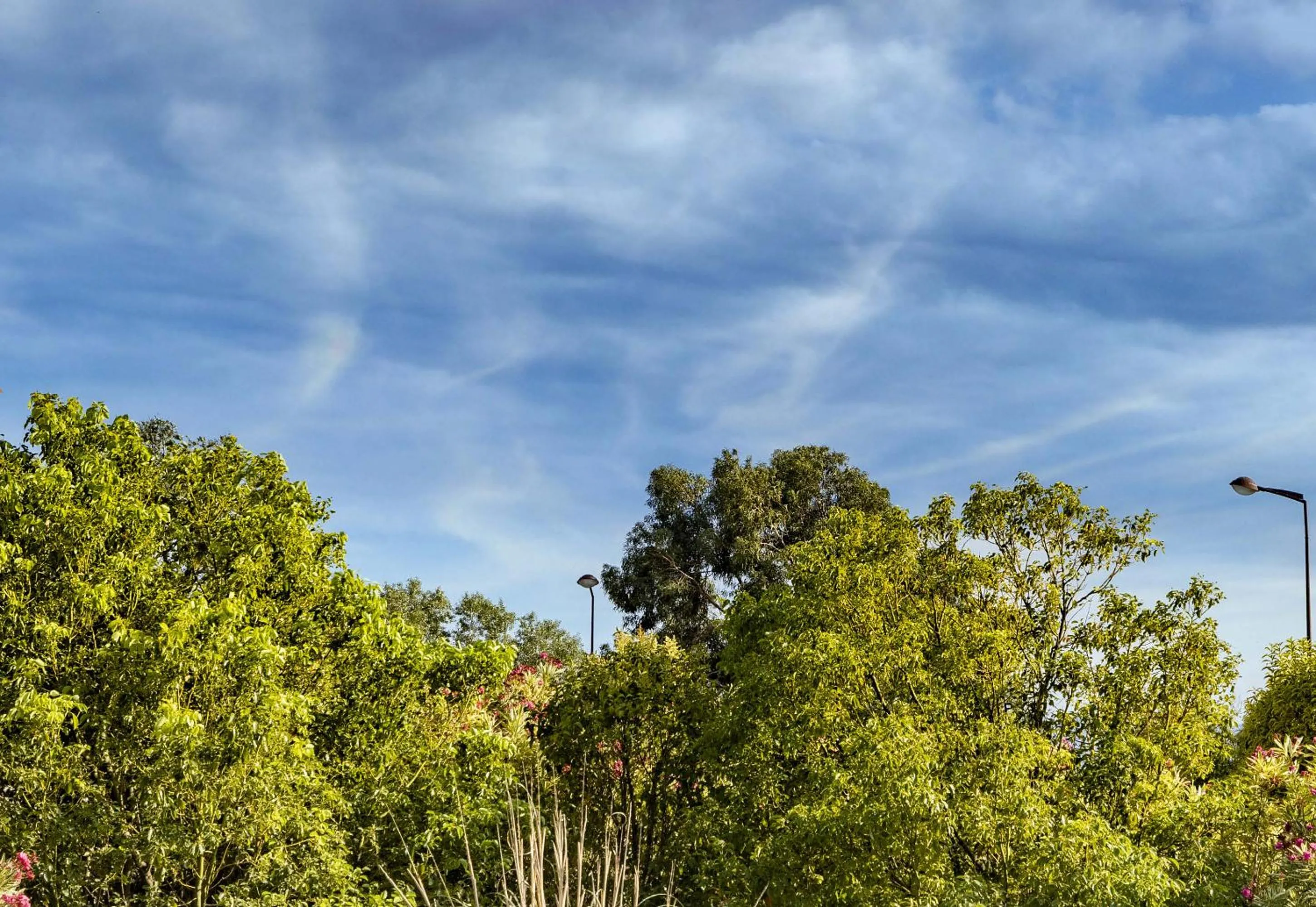 View (from property/room) in B&B HOTEL PERPIGNAN Nord Aéroport