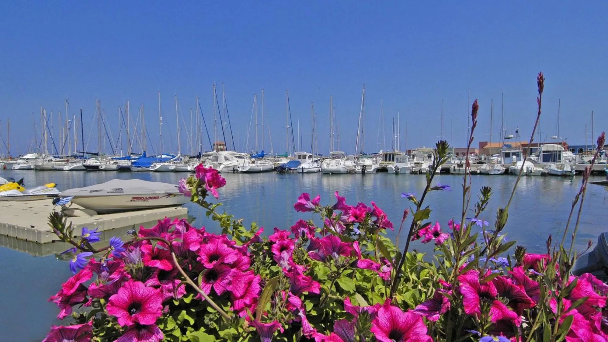 Area and facilities in Hotel De La Mer