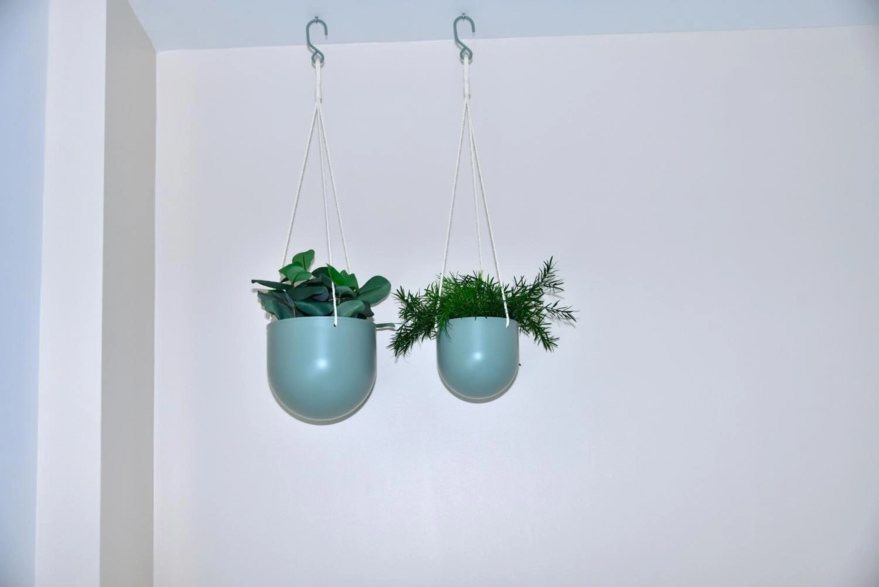 Decorative detail in Rey Don Sancho