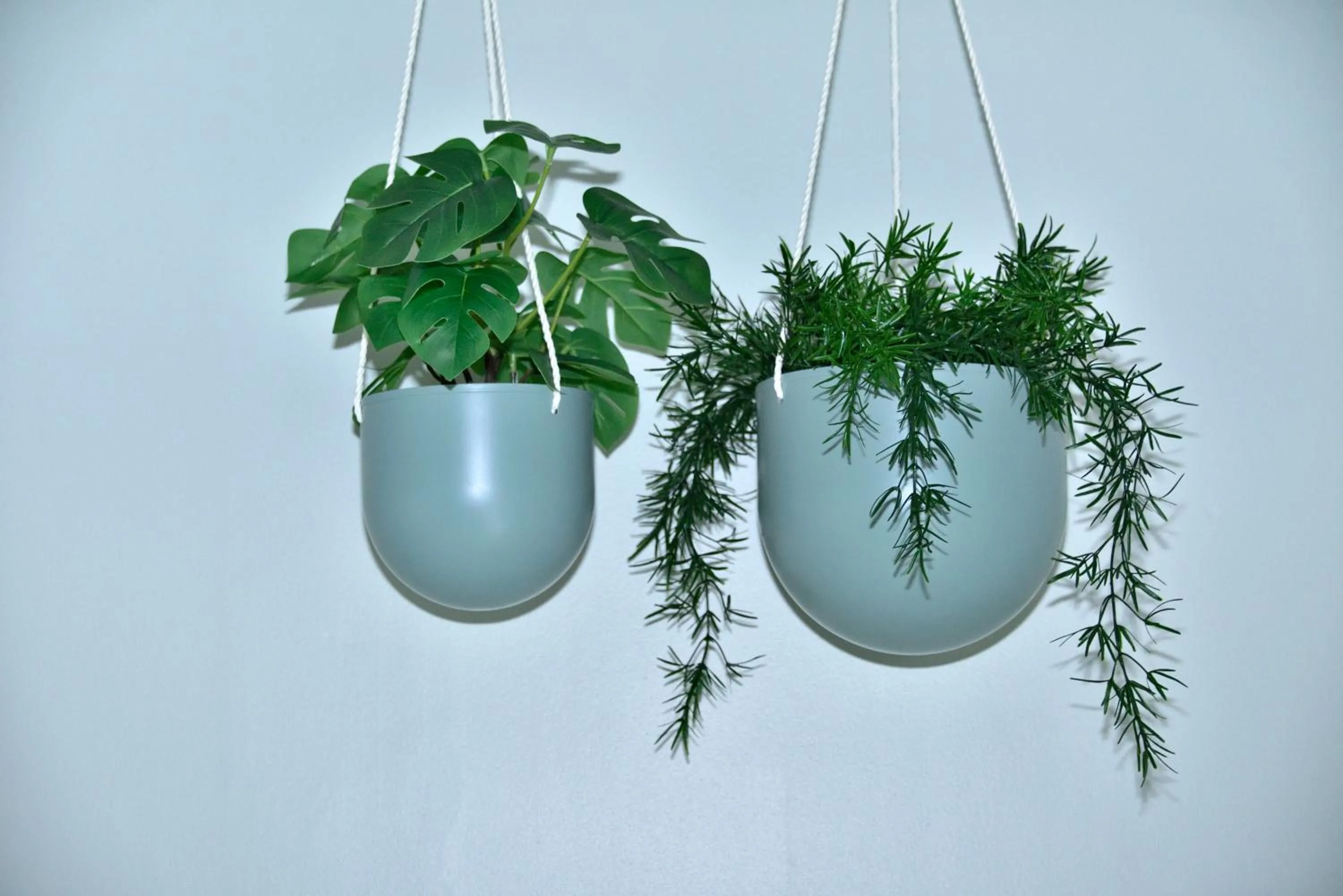 Decorative detail in Rey Don Sancho