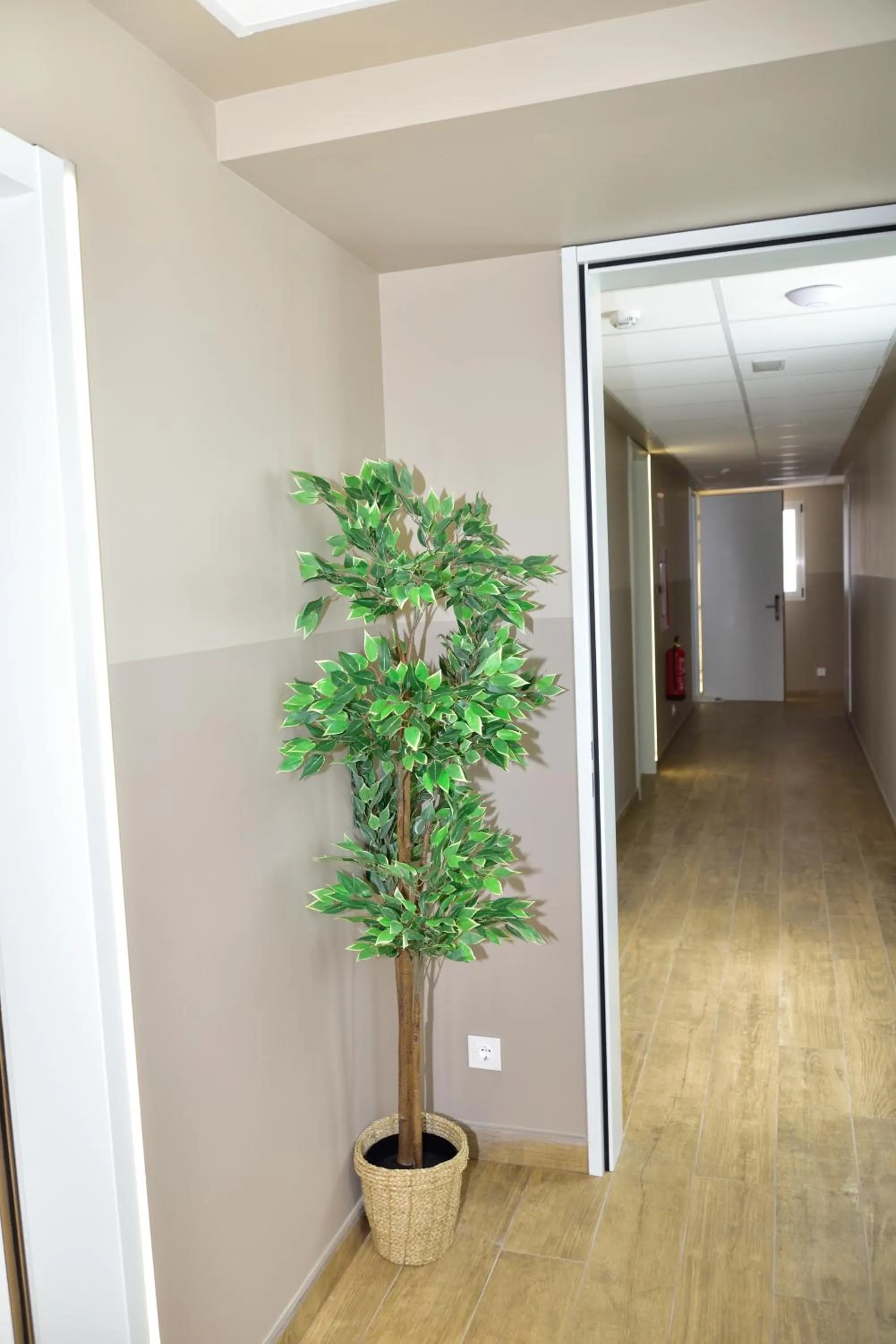 Decorative detail in Rey Don Sancho