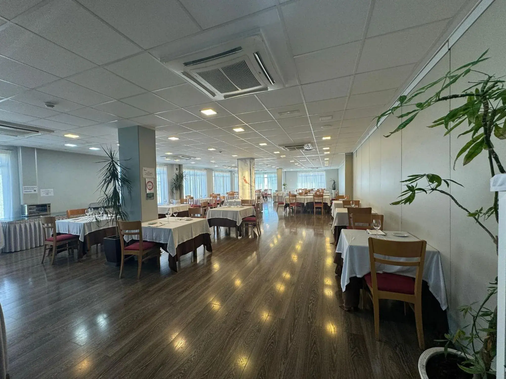 Restaurant/places to eat in Rey Don Sancho Restaurant/places to eat in Rey Don Sancho