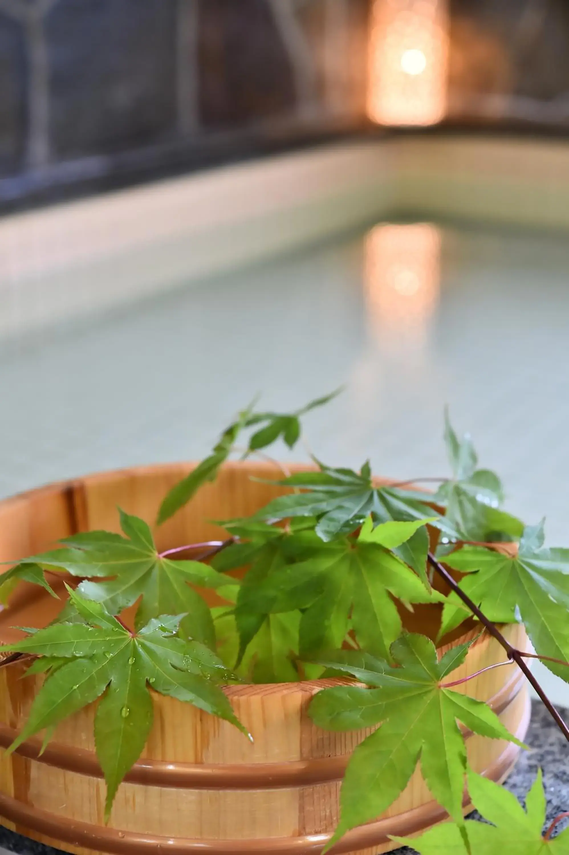 Takenoya Ryokan (Guest House Takenoya) Takenoya Ryokan (Guest House Takenoya)