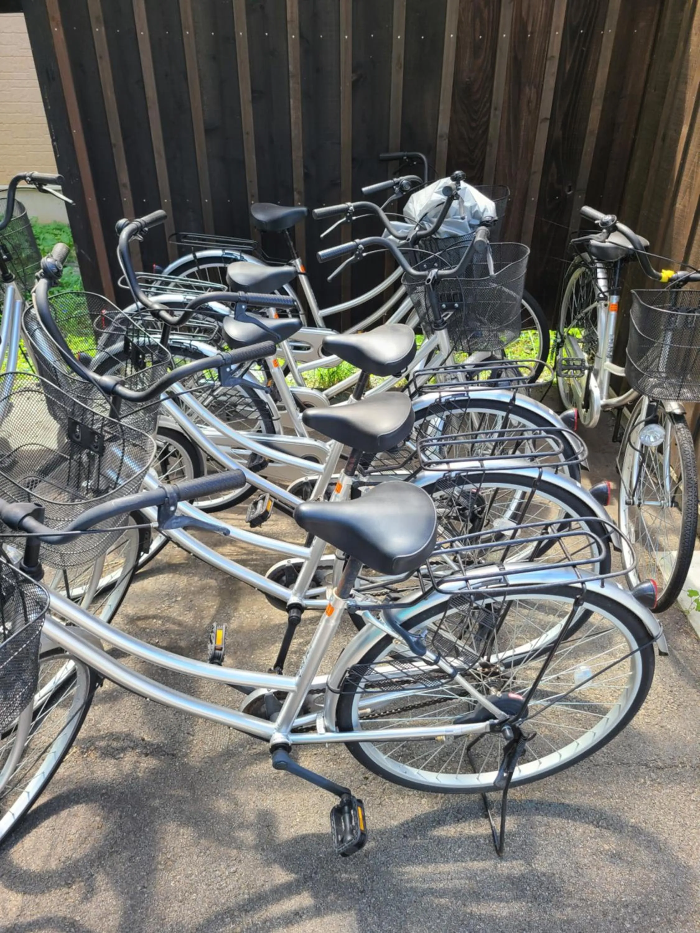 Other in Bluebird Hotel