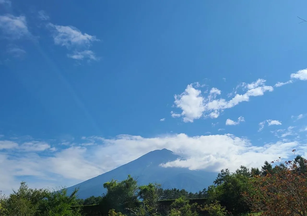 Natural landscape in Bluebird Hotel