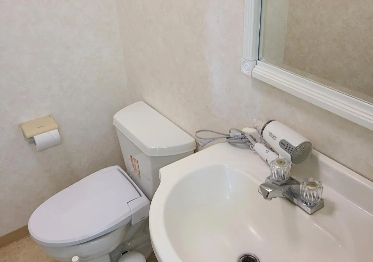 Toilet in Bluebird Hotel