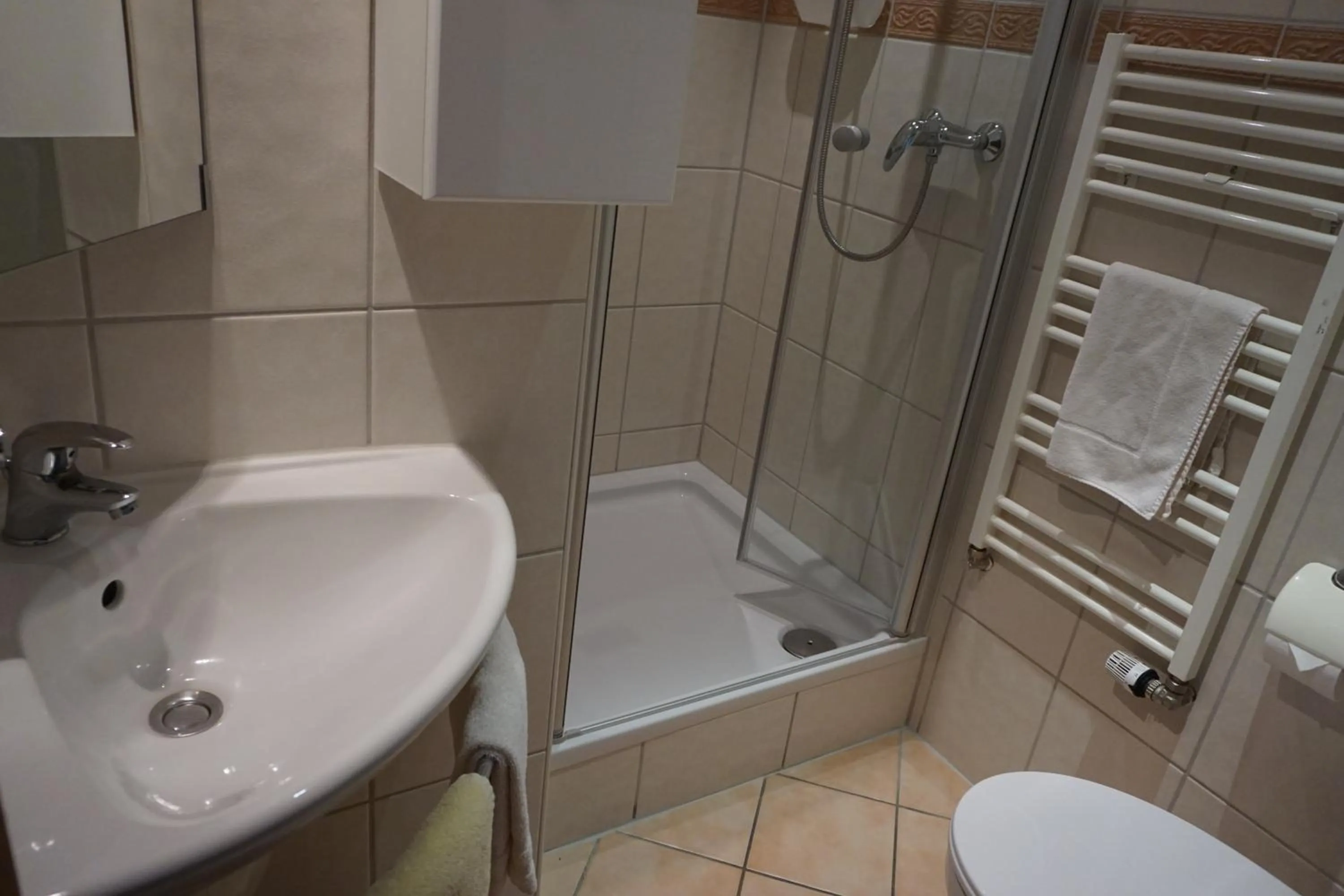 Bathroom in Landgasthof “Zur Alten Mühle“