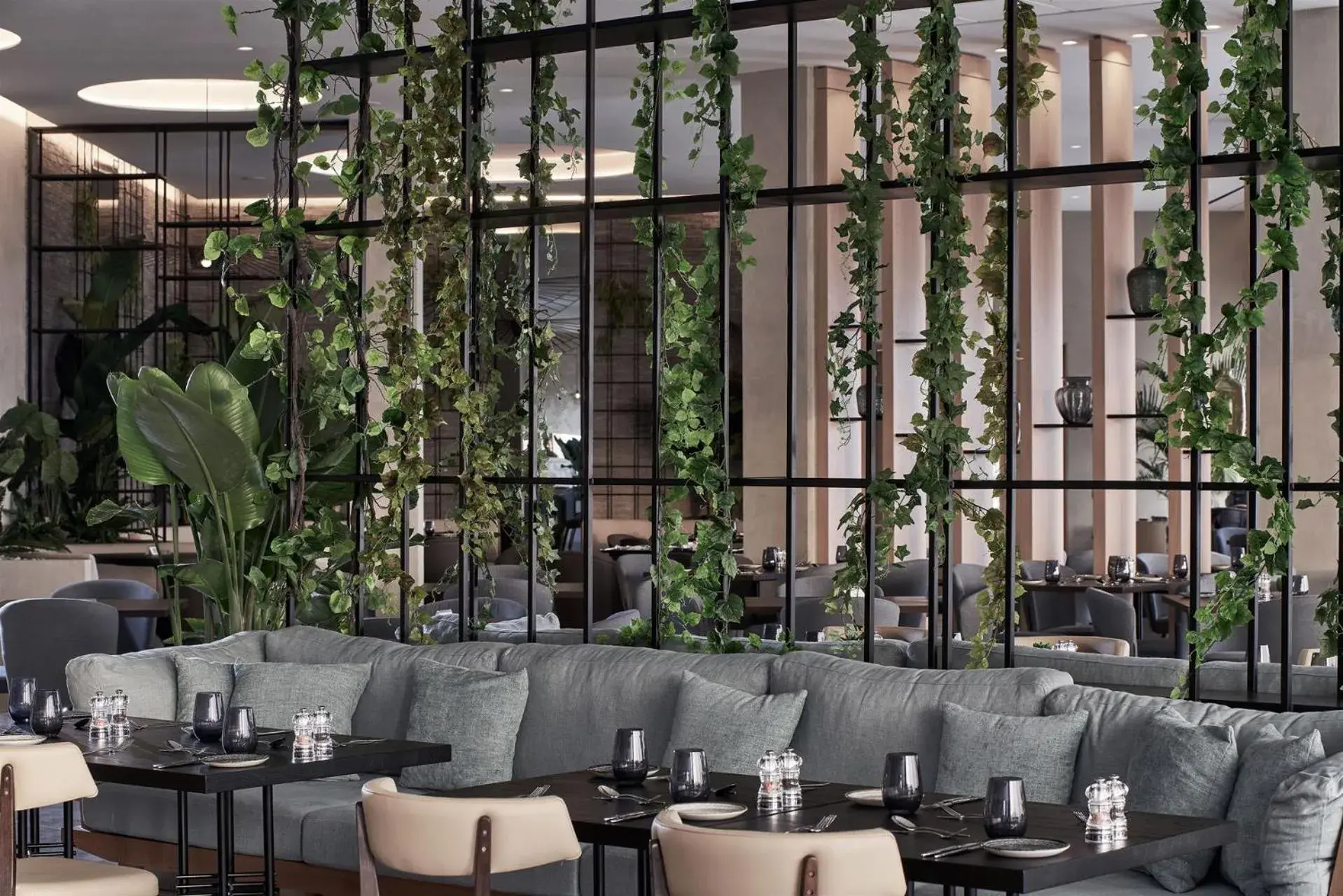 Restaurant/places to eat in Mare Paphos Restaurant/places to eat in Mare Paphos