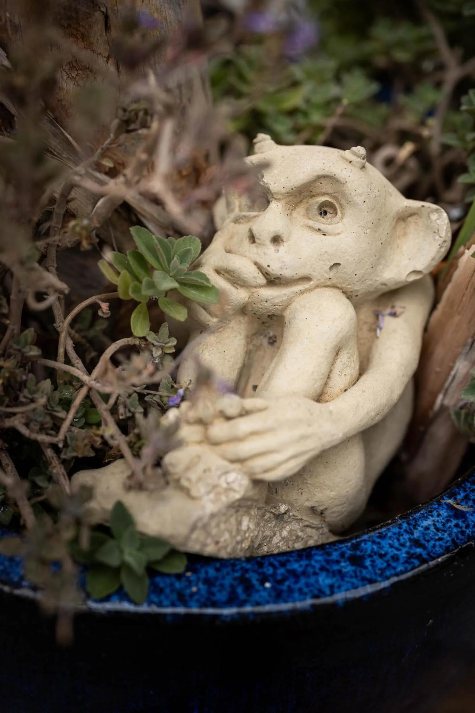 Facade/entrance in Olive & Ivy Guesthouse